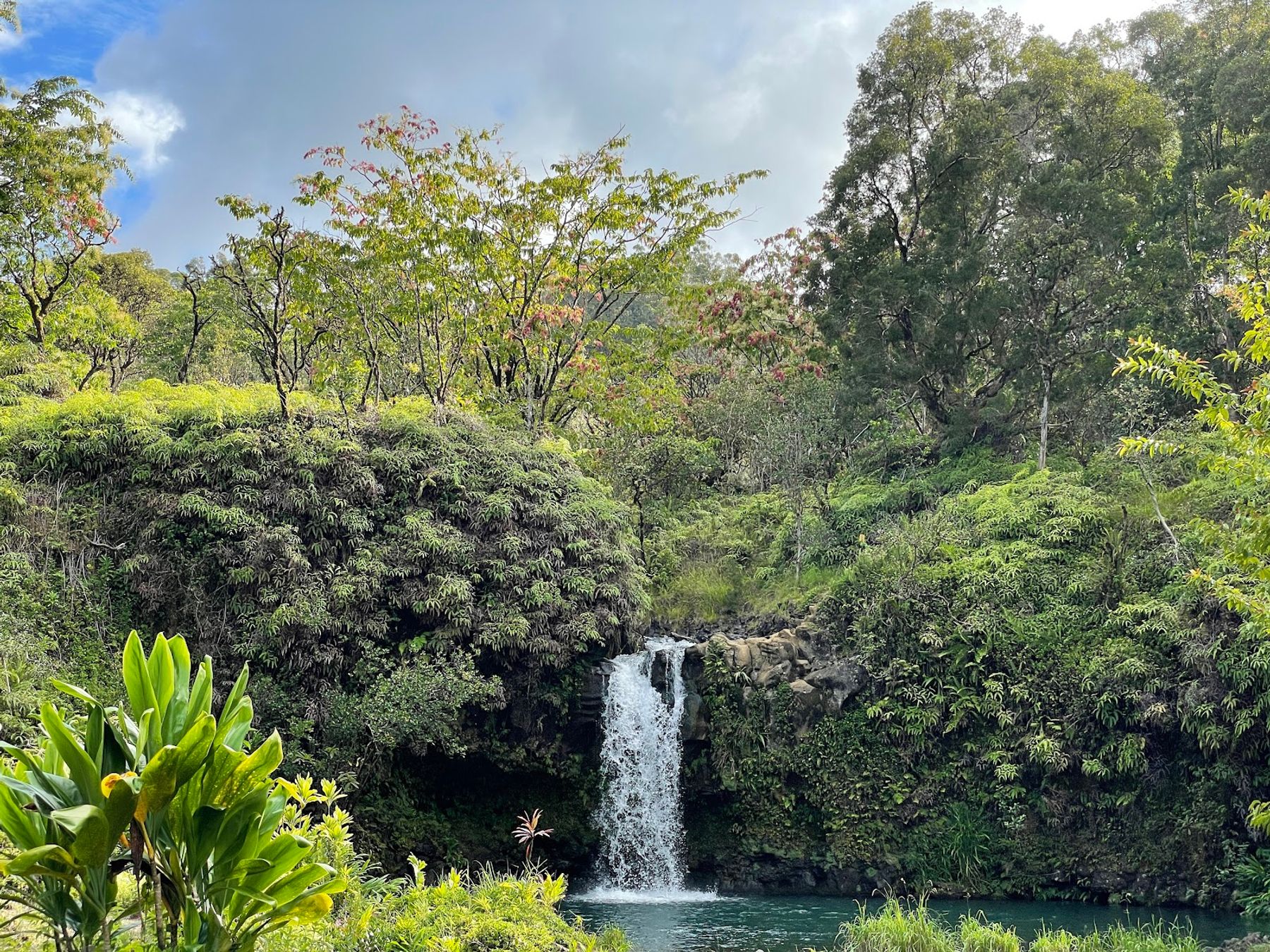 Photo 1 of Pua'a Ka'a State Wayside in Keʻanae-Nāhiku, Maui