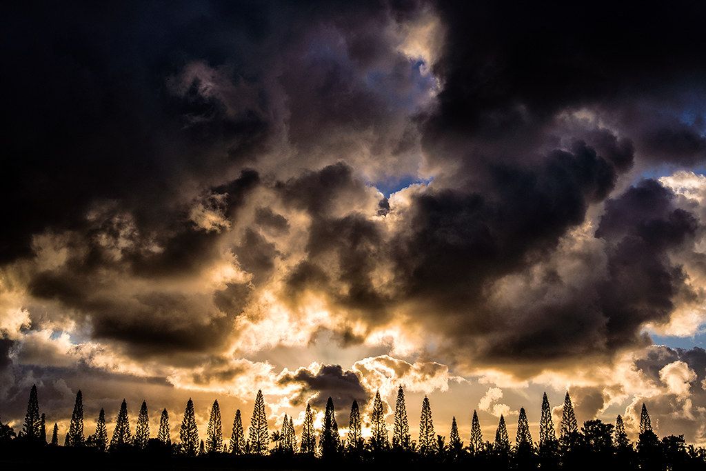 Sunset light bursting through dark storm clouds above a silhouetted line of tall pine trees on Kauaʻi.