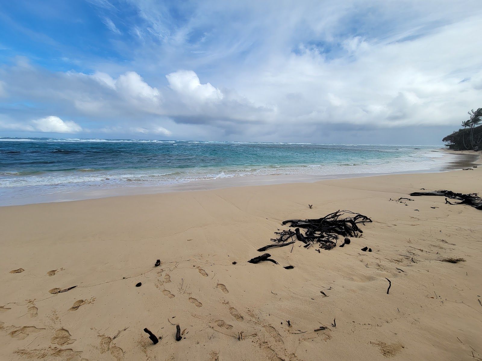 Photo 9 of Kokololio Beach Park in Kualoa & North Windward, Oahu