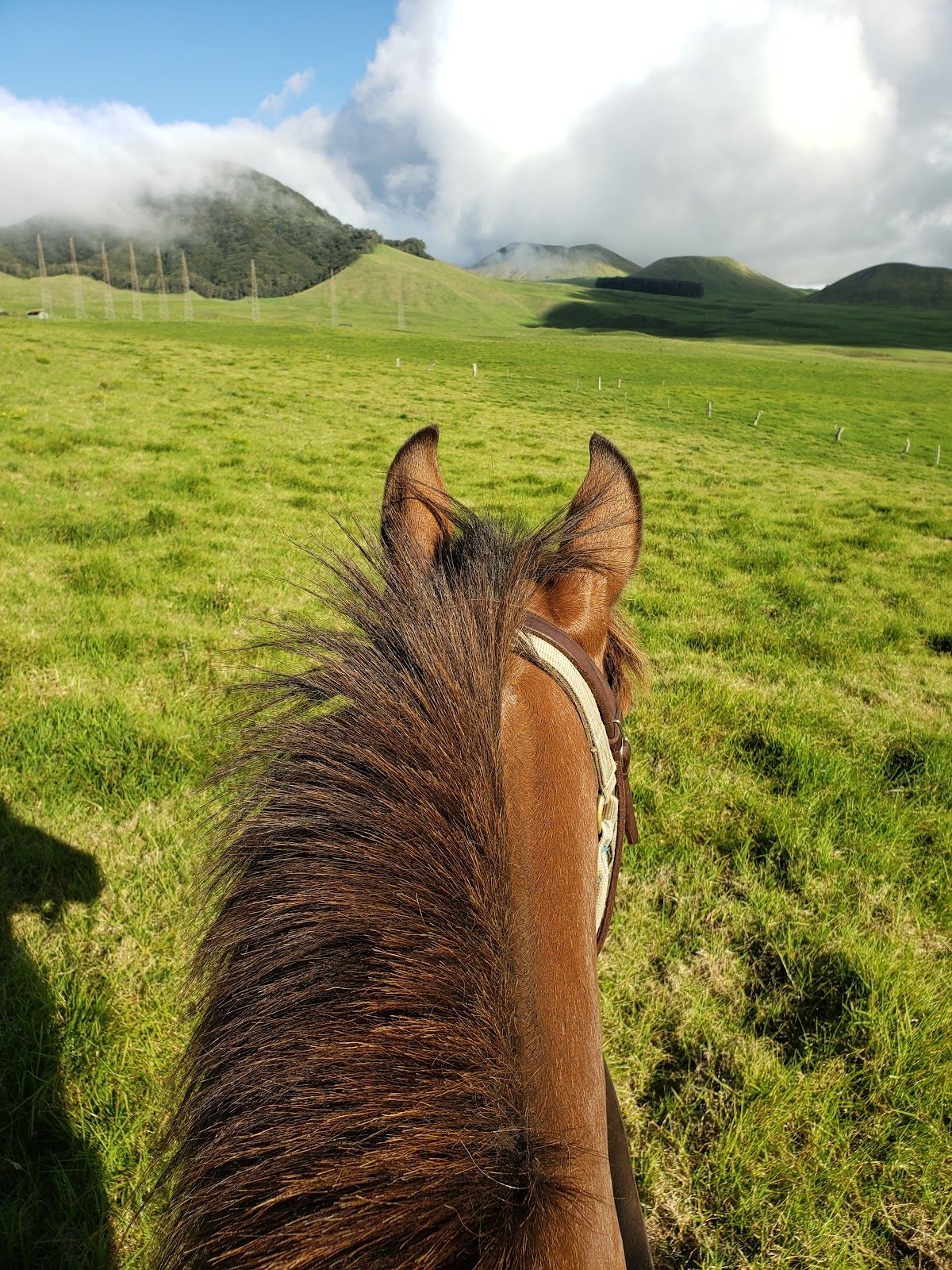 Photo 8 of Kahua Ranch Ltd in Waimea, Big Island