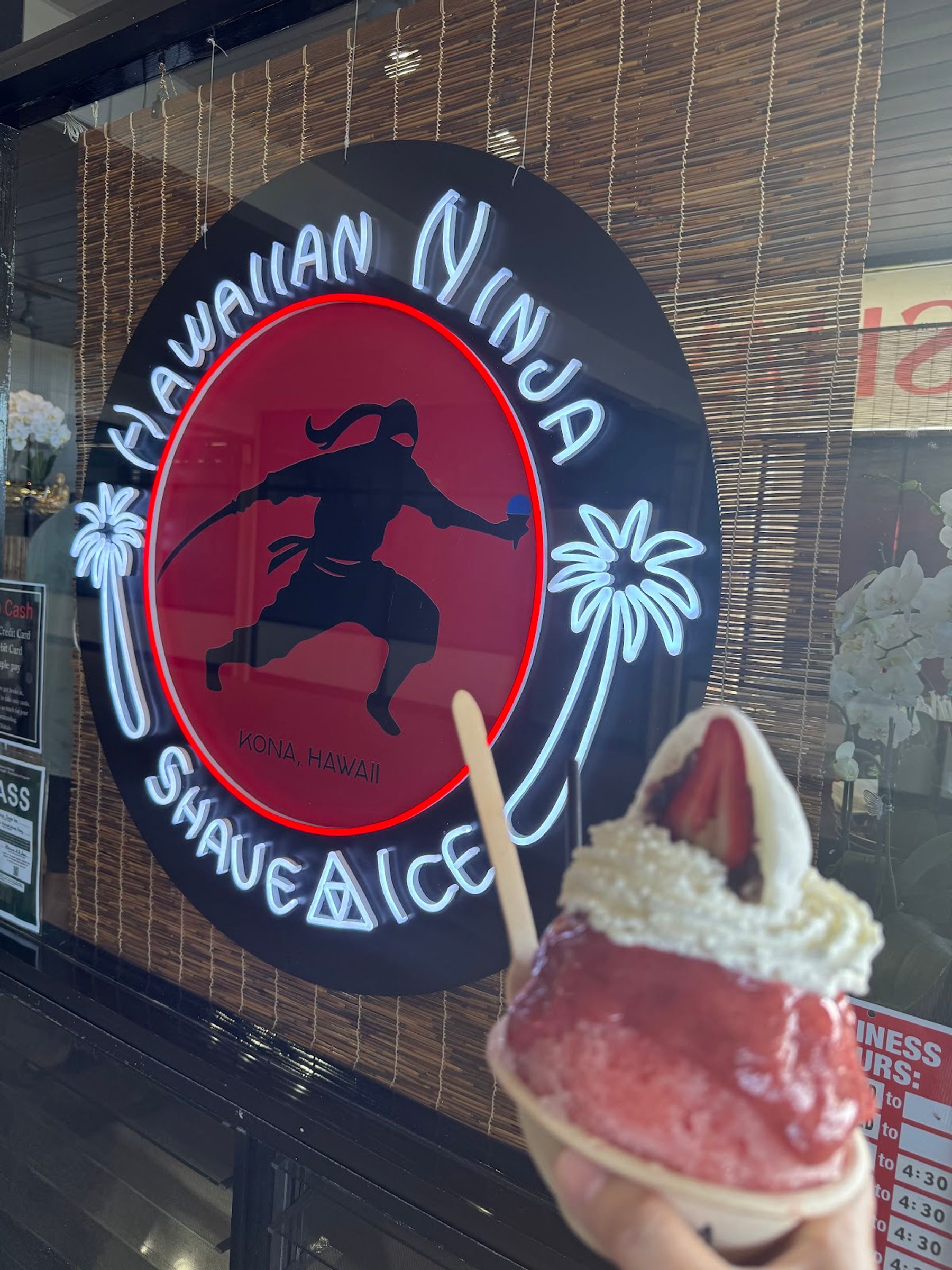 Photo 8 of Hawaiian Ninja Shave Ice in South Kona, Big Island