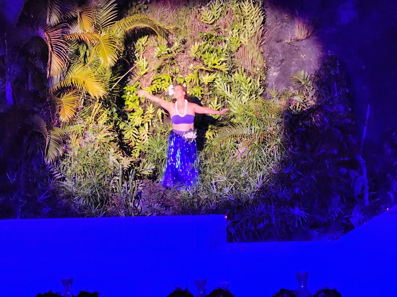 Smith Family Garden Luau in Kapaʻa, Kaua‘i photo 6