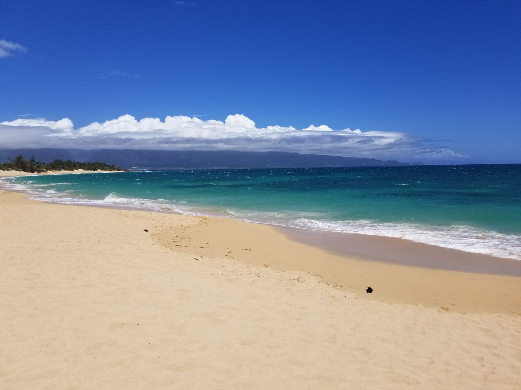 Photo 6 of Baldwin Beach Park in Pāʻia, Maui