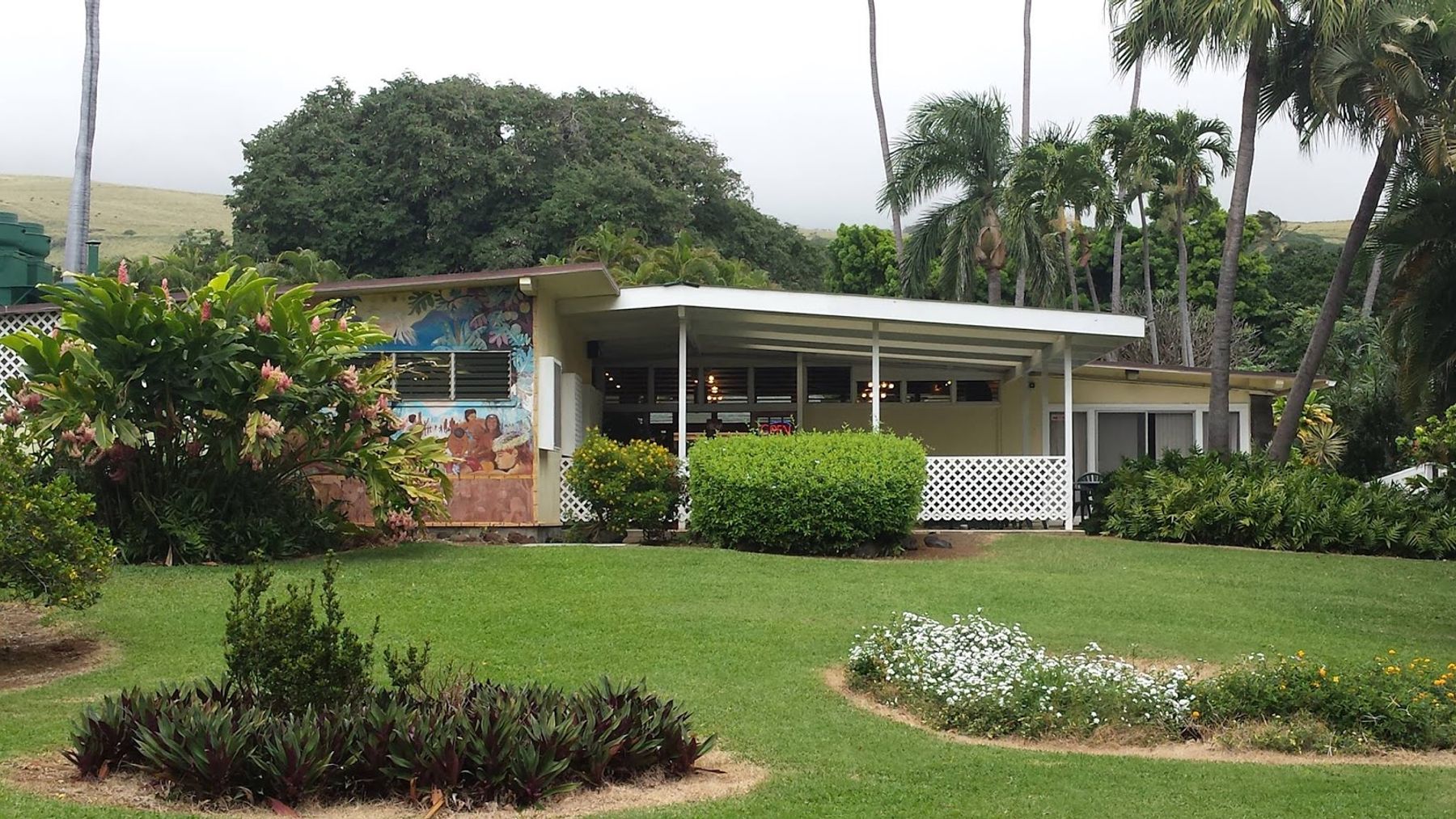 Photo 4 of Punalu'u Bake Shop in South Point, Big Island
