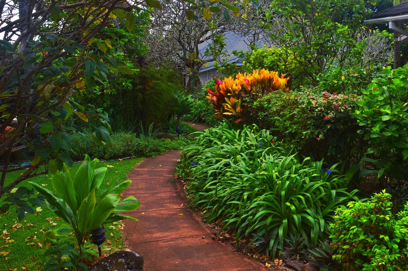 Photo 8 of Banyan Tree Bed and Breakfast in Makawao & Pukalani, Maui