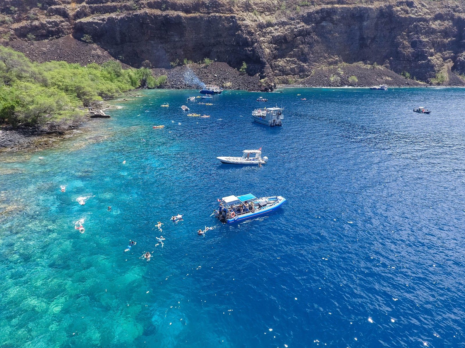 Photo 6 of Dolphin Discoveries- Snorkel Tour Check-in and Boutique in Kailua-Kona, Big Island