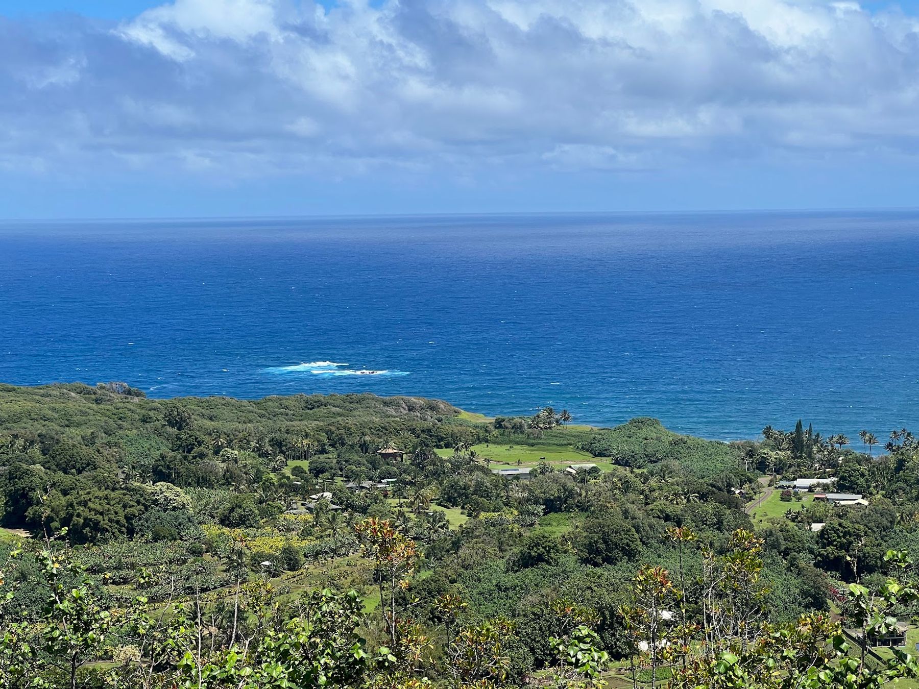 Photo 2 of Wailua Valley Lookout in Keʻanae-Nāhiku, Maui