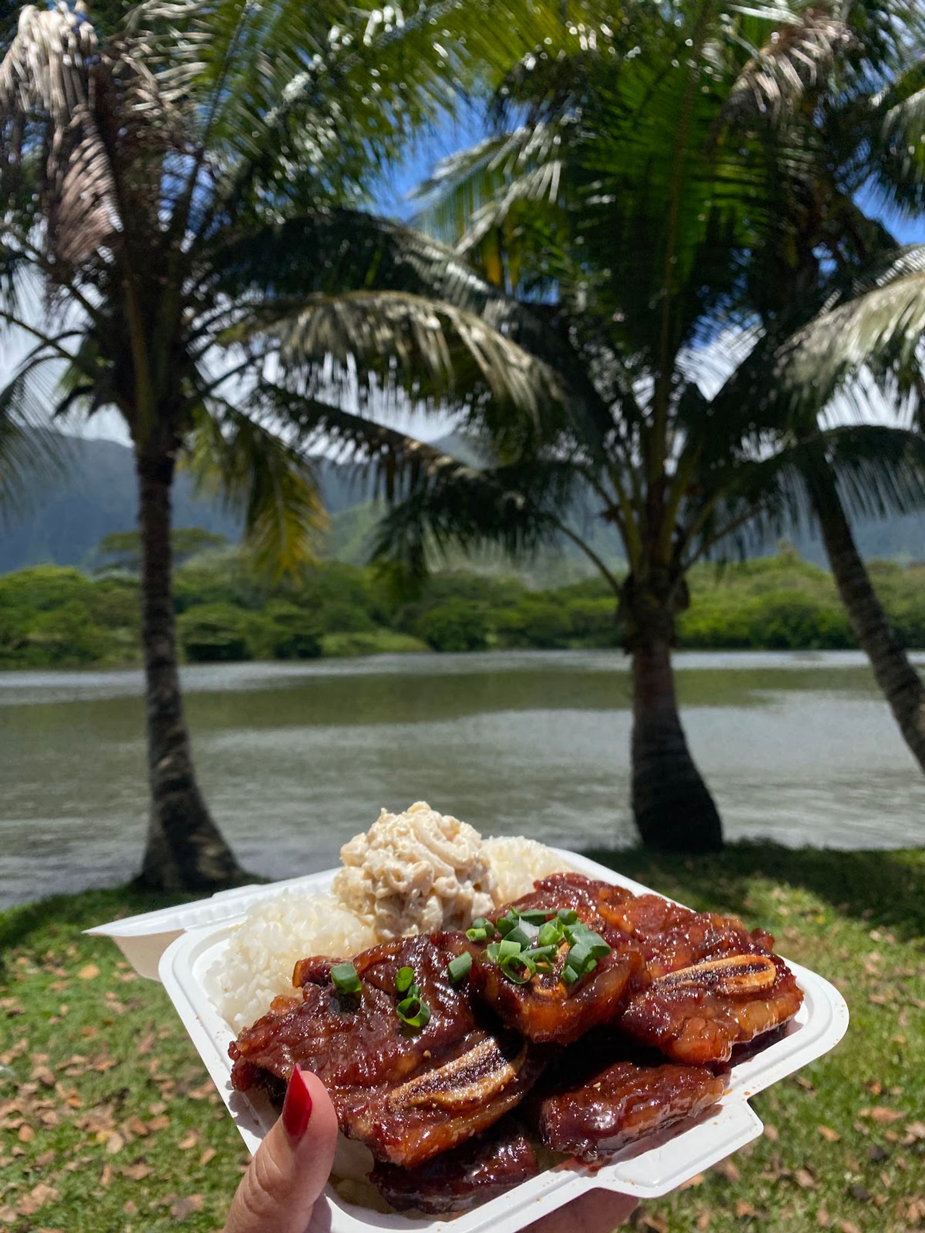 Photo 2 of Nome Ono Food in Kāneʻohe, Oahu