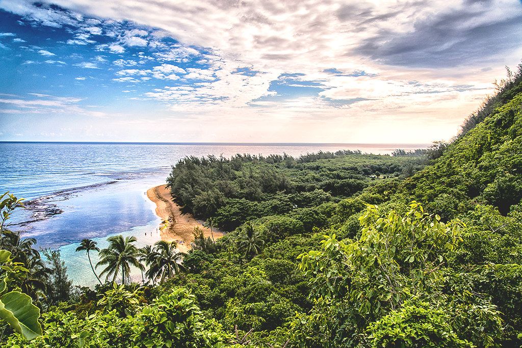 Coastal overlook with a curving sandy beach, reef-blue shallows, dense green forest, and a bright cloud-filled sky over the Pacific