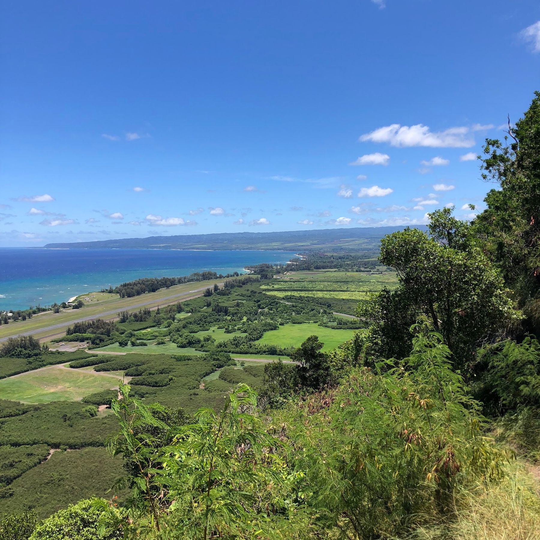 Photo 2 of Keālia Trail in Waialua & Mokulēʻia, Oahu