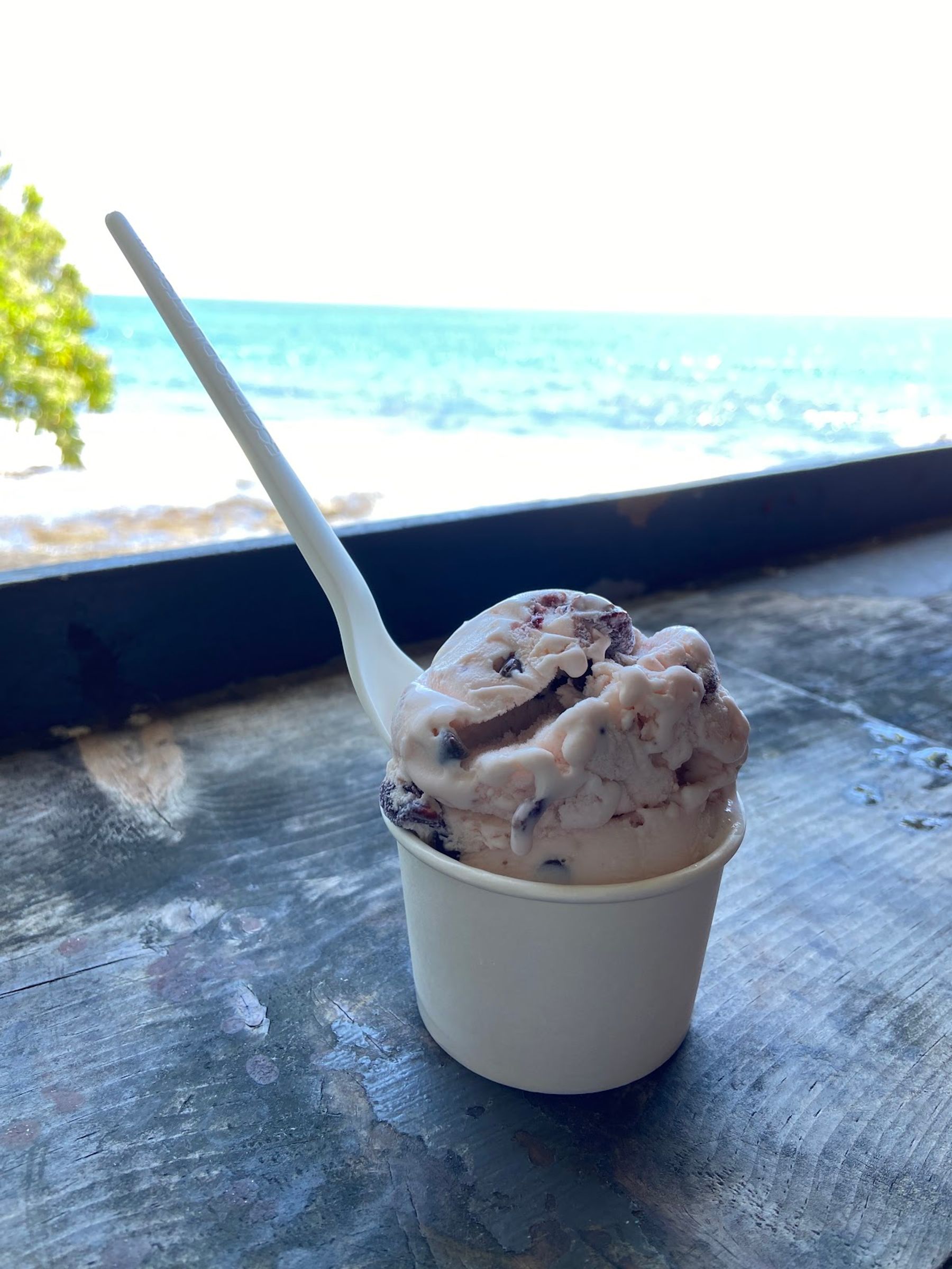 Photo 2 of Tropical Dreams- Gourmet Ice cream in Kailua-Kona, Big Island