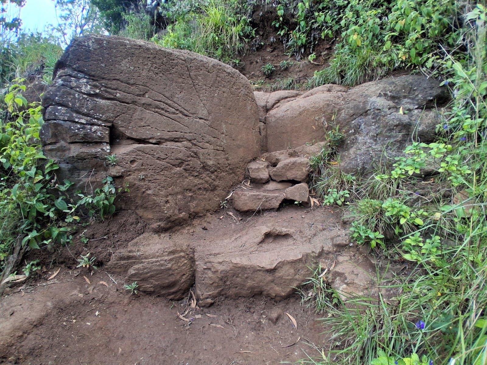 Sleeping Giant West Trailhead in Kapaʻa, Kaua‘i photo 5