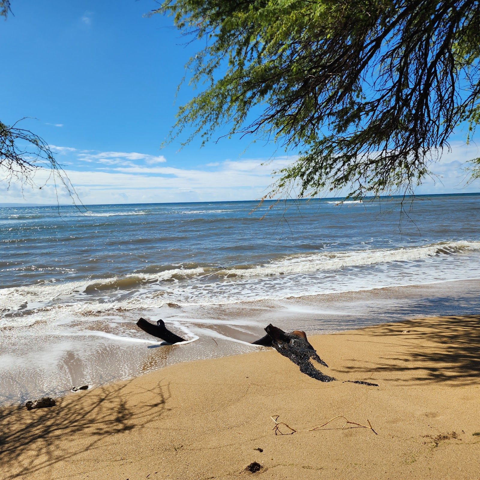 Photo 7 of Pāpalaua Wayside Park in Olowalu, Maui