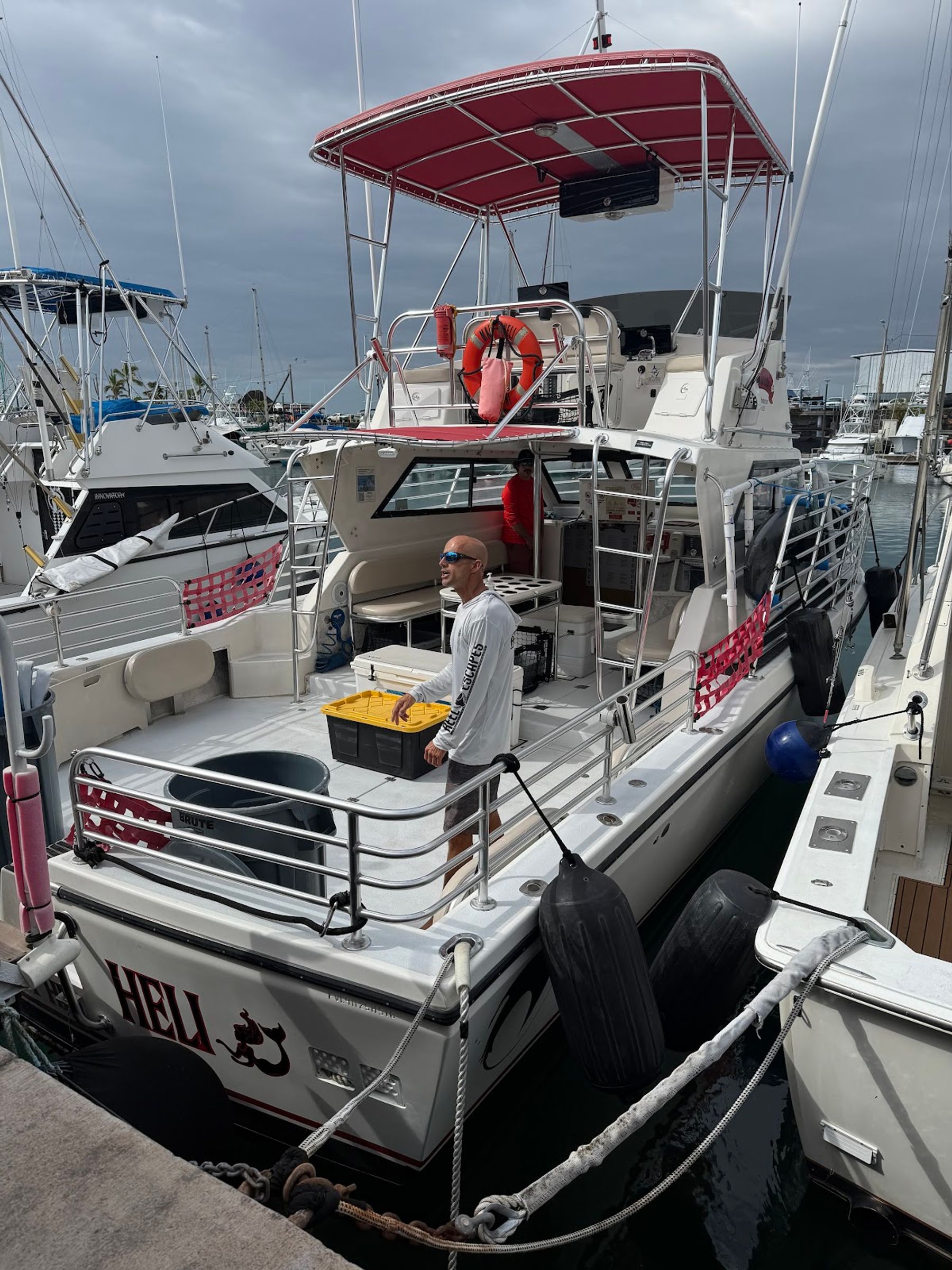 Photo 2 of Manta Adventures Inc. in Kailua-Kona, Big Island