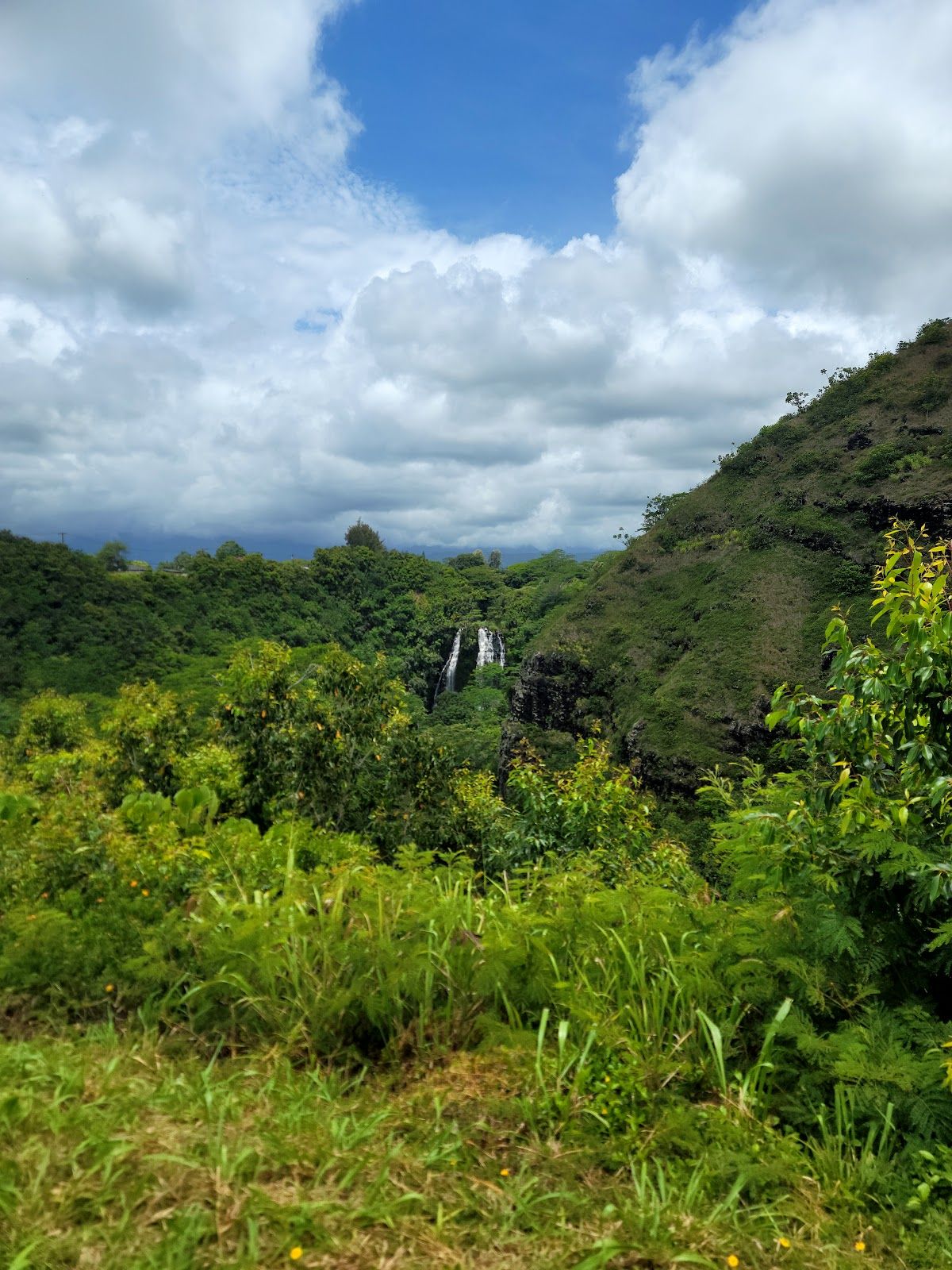 Photo 8 of Clark's Hawaii Tours in Kailua-Kona, Big Island