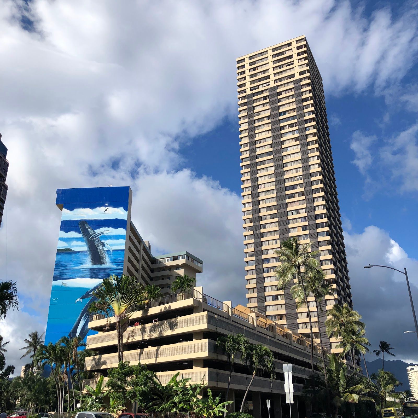 Photo 6 of Waikiki Monarch Hotel in Waikīkī, Oahu