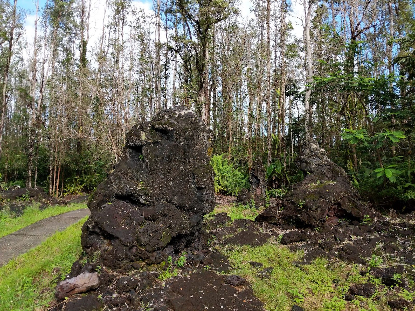 Photo 6 of Lava Tree State Monument in Pāhoa, Big Island