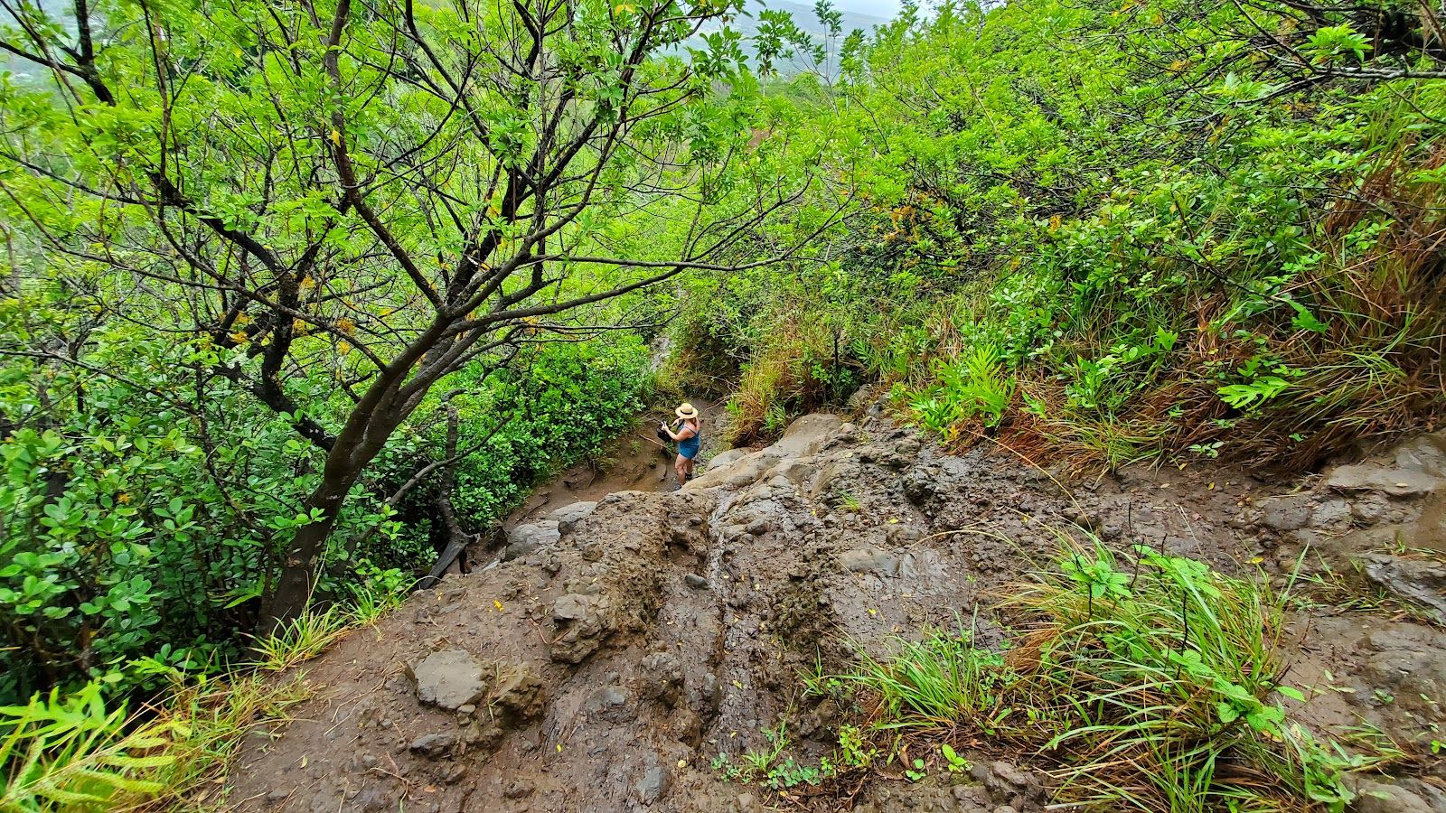 Sleeping Giant West Trailhead in Kapaʻa, Kaua‘i photo 6