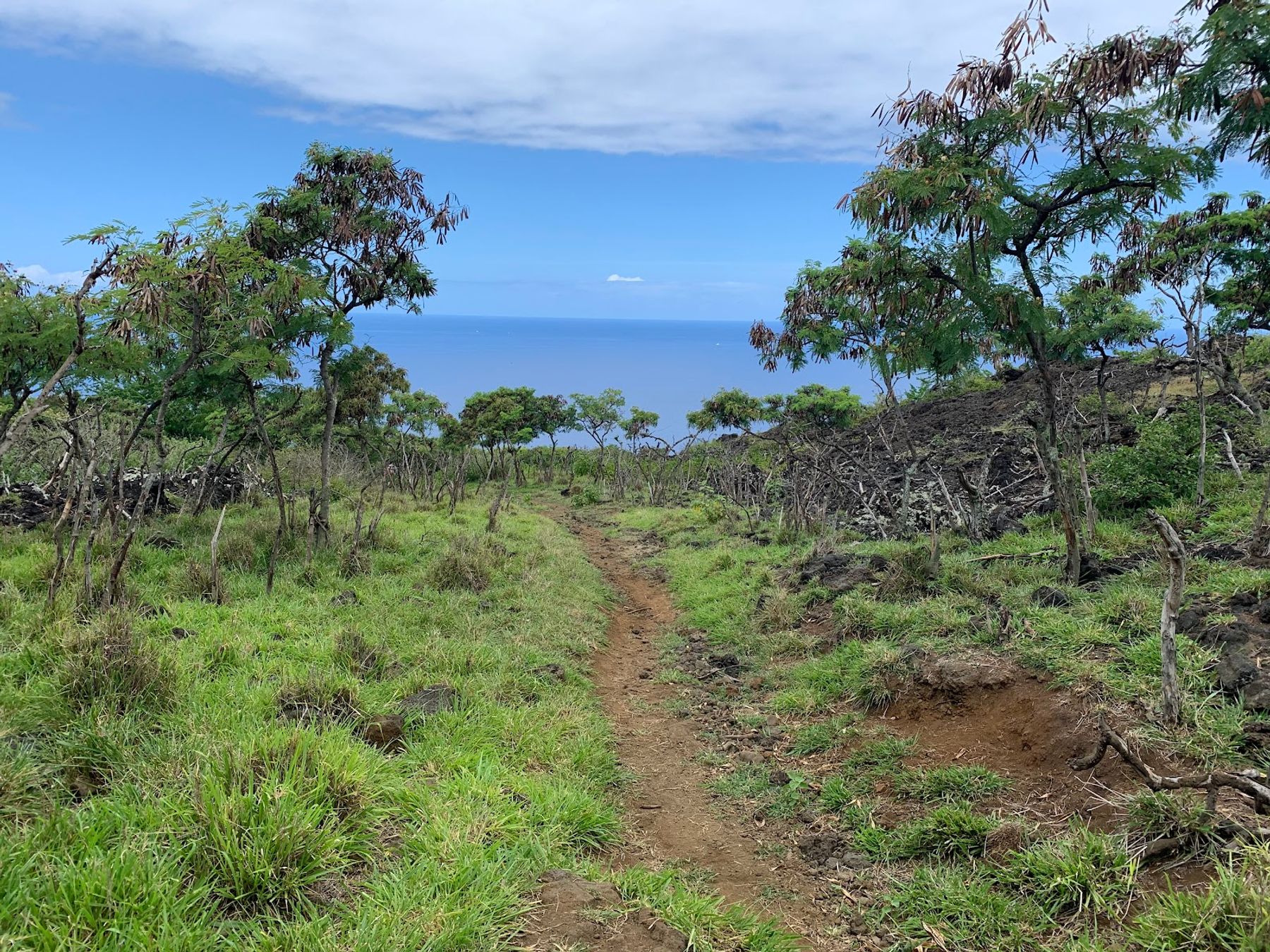 Photo 6 of Captain Cook Monument Trail in South Kona, Big Island