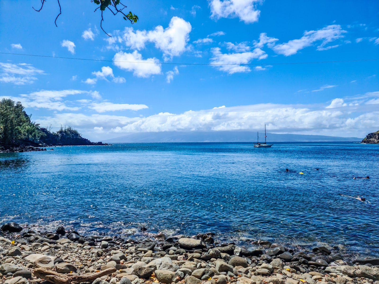 Photo 3 of Honolua Bay in Kapalua, Maui