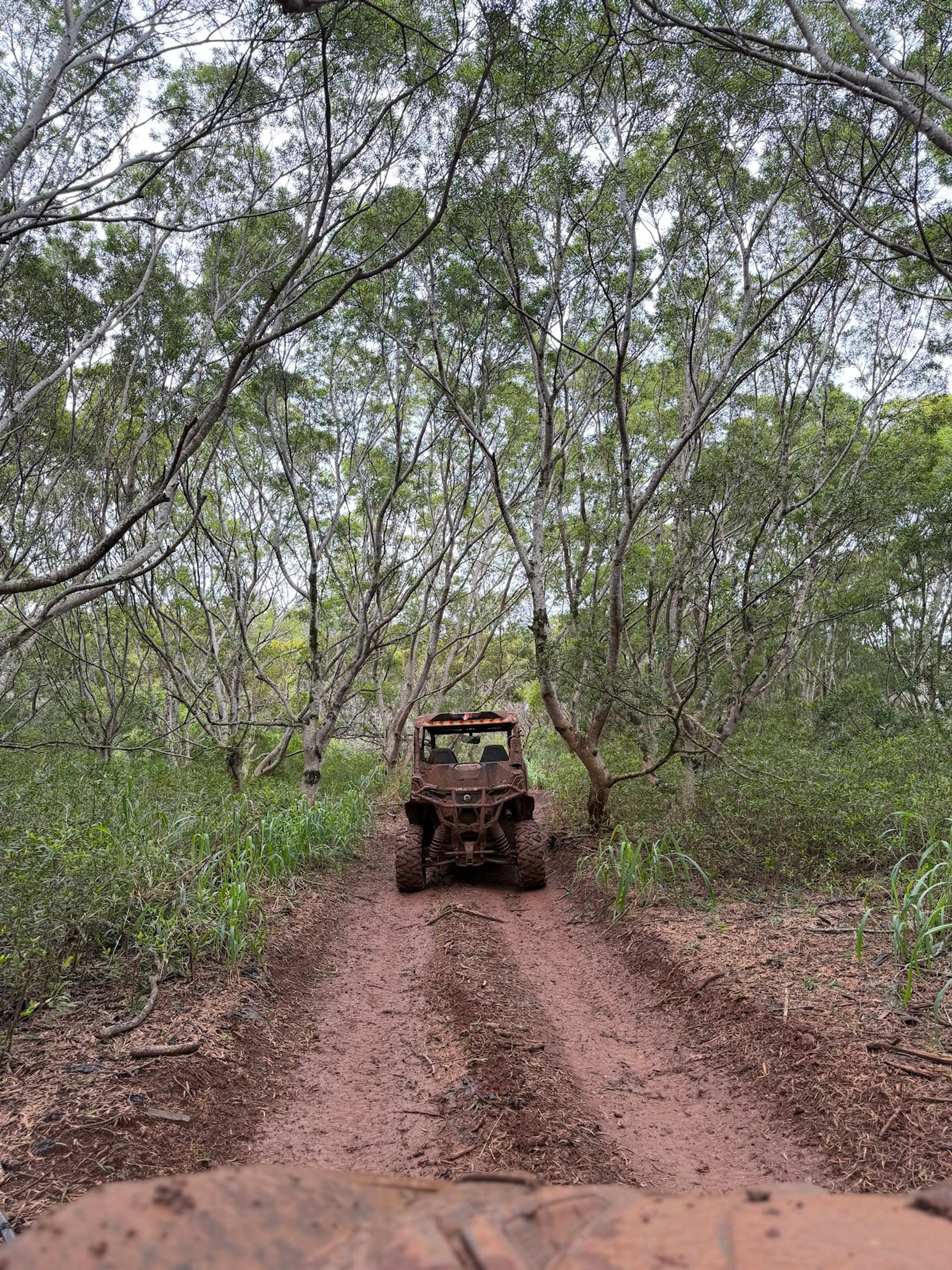 Photo 5 of Maui Off-Road Adventures in Kapalua, Maui