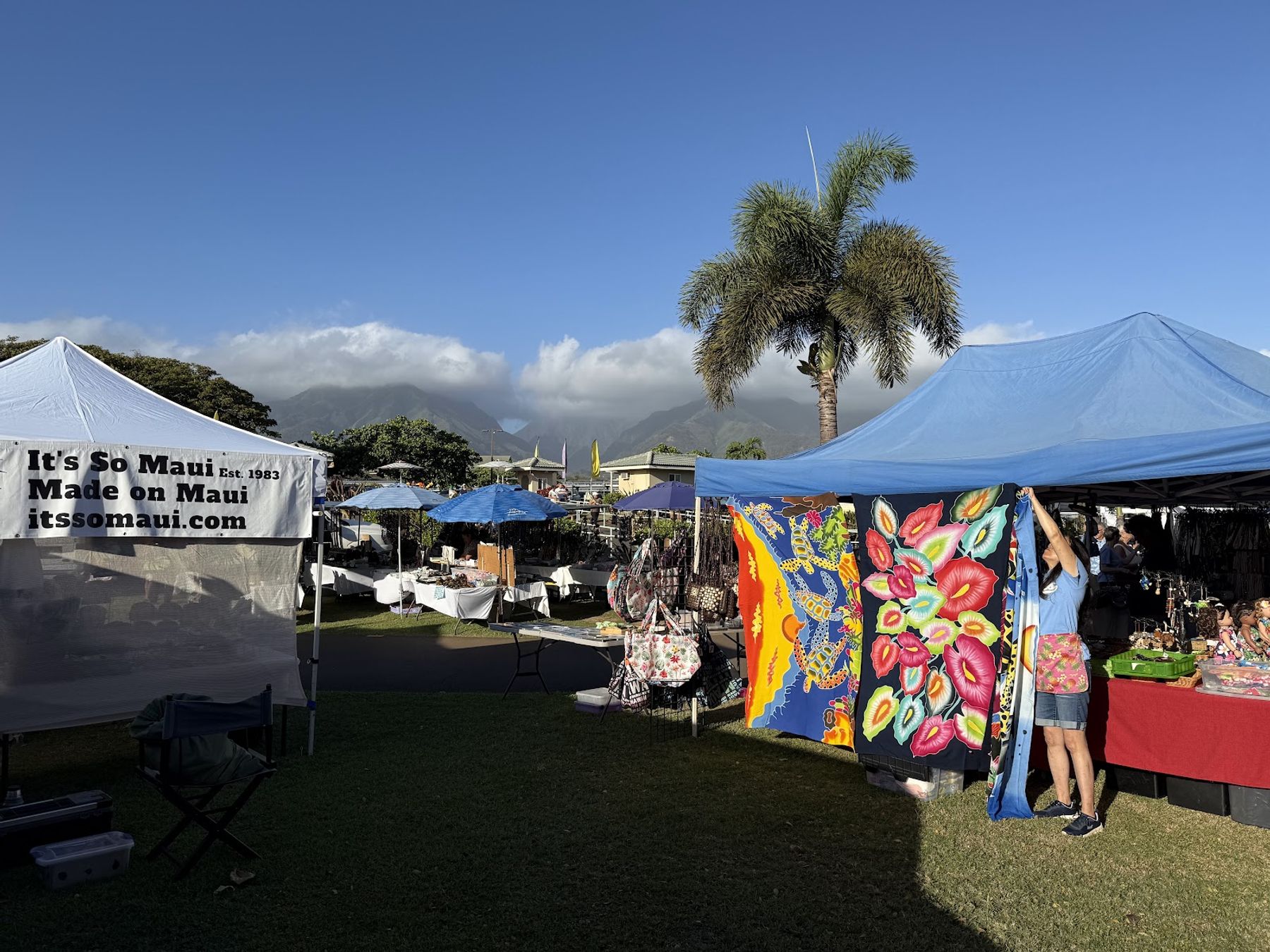 Photo 8 of Maui Swap Meet in Kahului, Maui