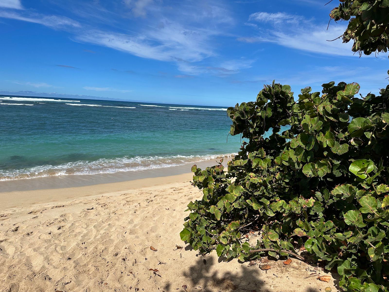 Photo 6 of ʻĀweoweo Beach Park in Waialua & Mokulēʻia, Oahu