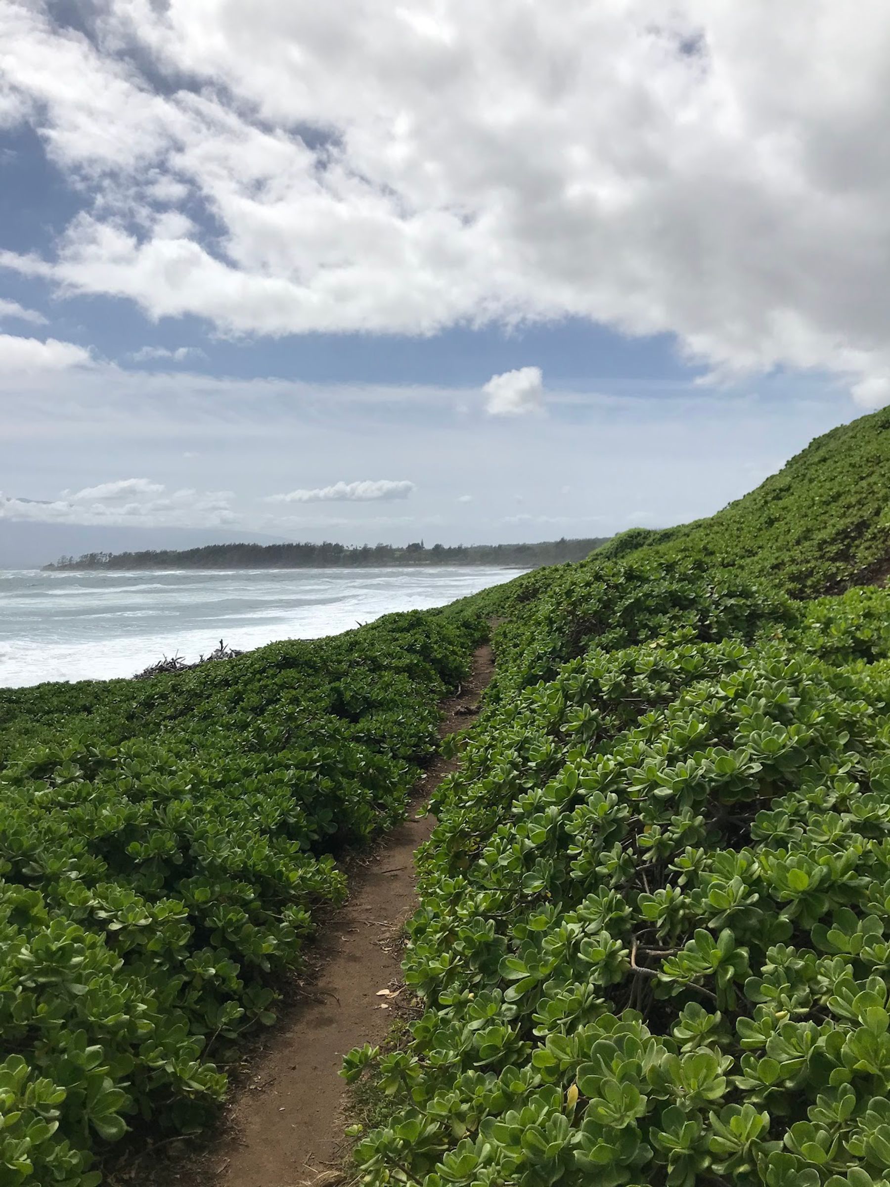 Photo 2 of Waihe‘e Coastal Dunes and Wetlands Refuge in Wailuku, Maui