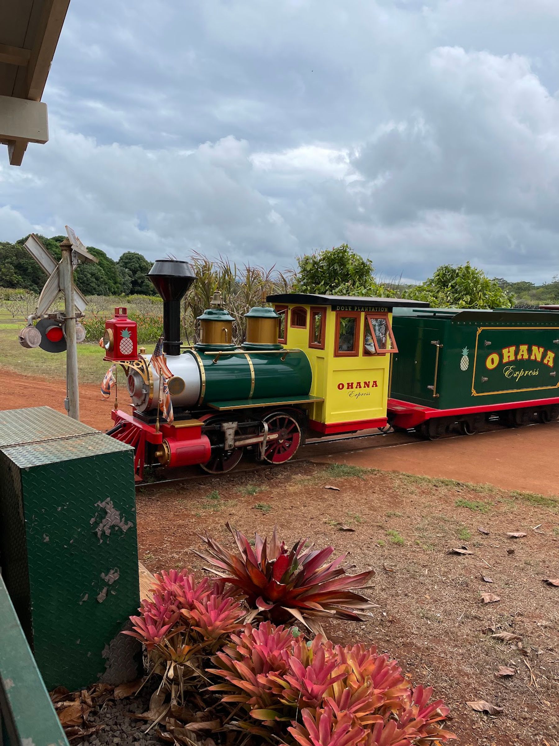 Photo 4 of Dole Plantation in Waialua & Mokulēʻia, Oahu