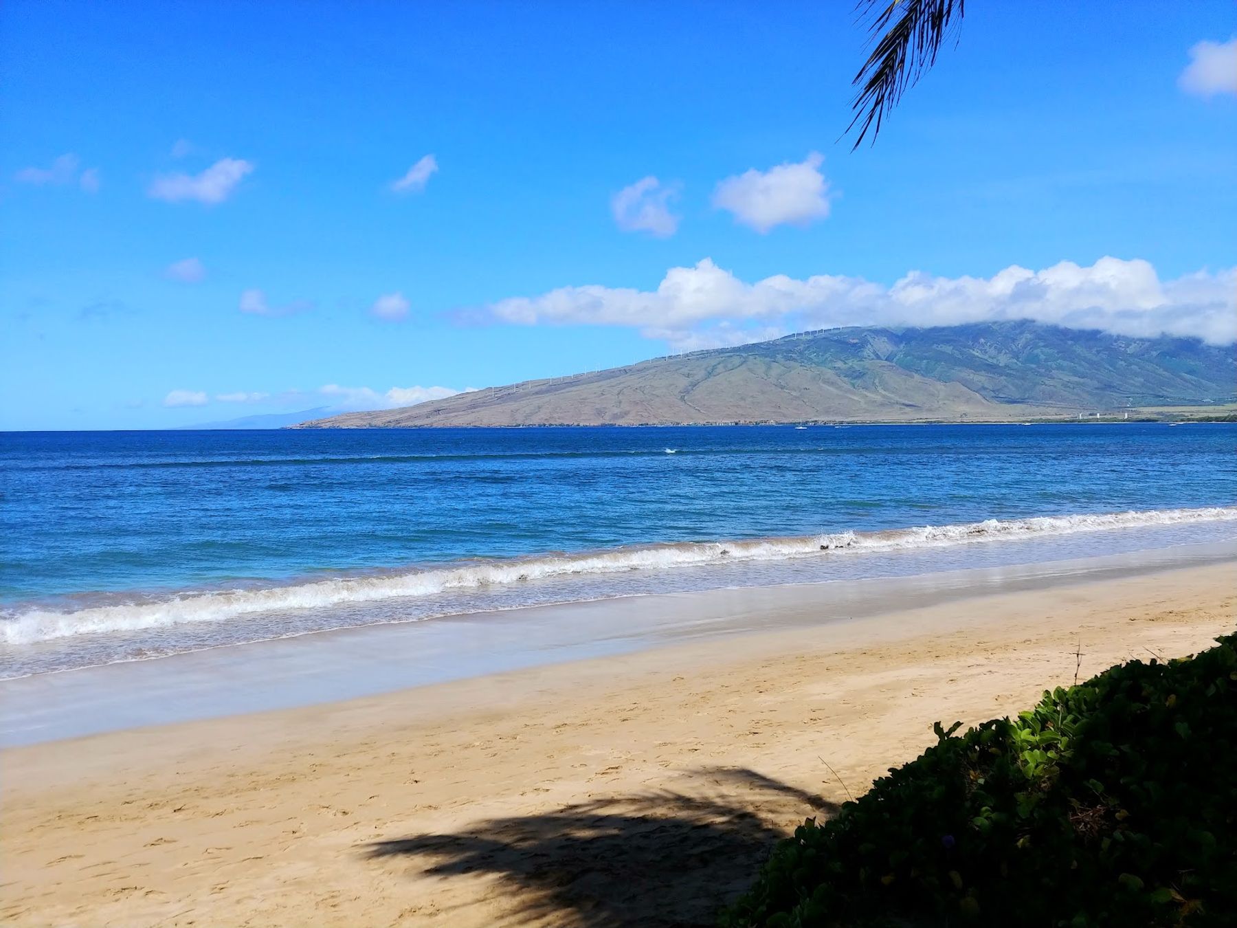 Photo 1 of Mai Poina Beach Park in Kīhei, Maui