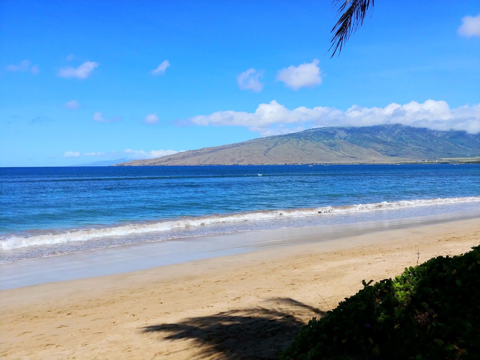 Photo 1 of Mai Poina Beach Park in Kīhei, Maui
