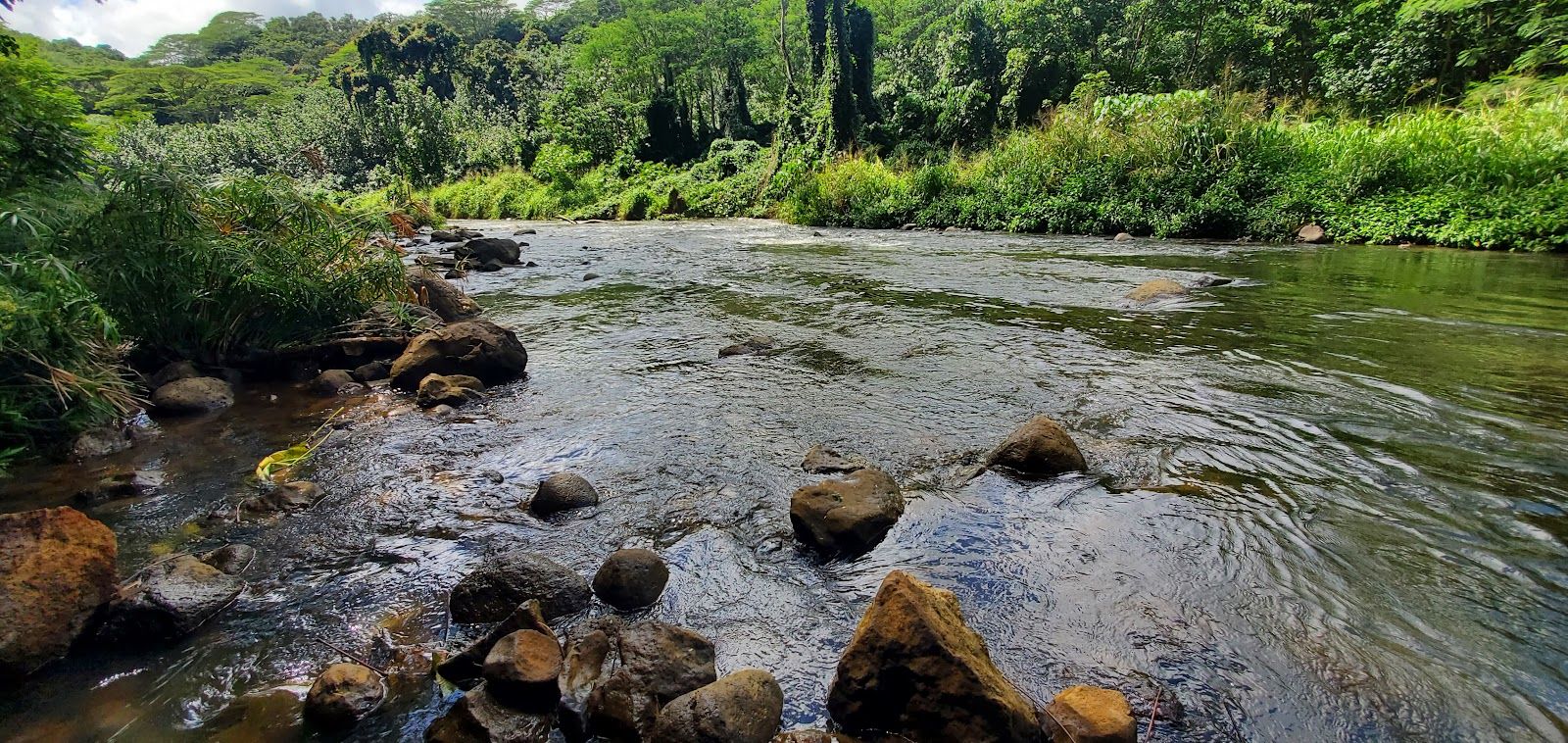 Uluwehi (Secret) Falls in Kapaʻa, Kaua‘i photo 4