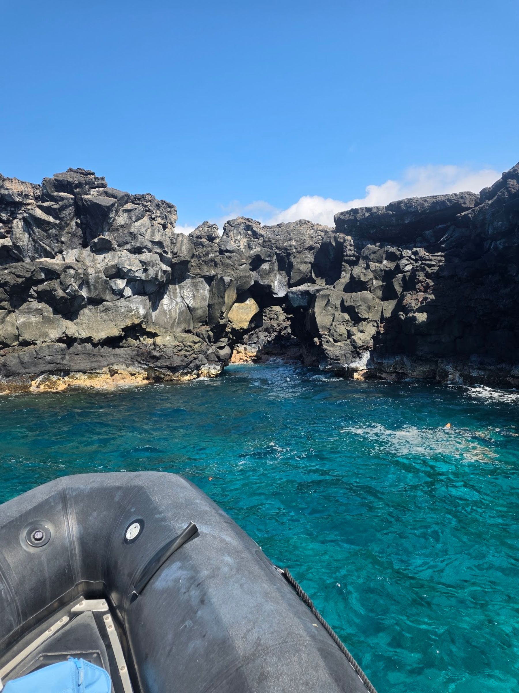 Photo 8 of Captain Zodiac in Kailua-Kona, Big Island