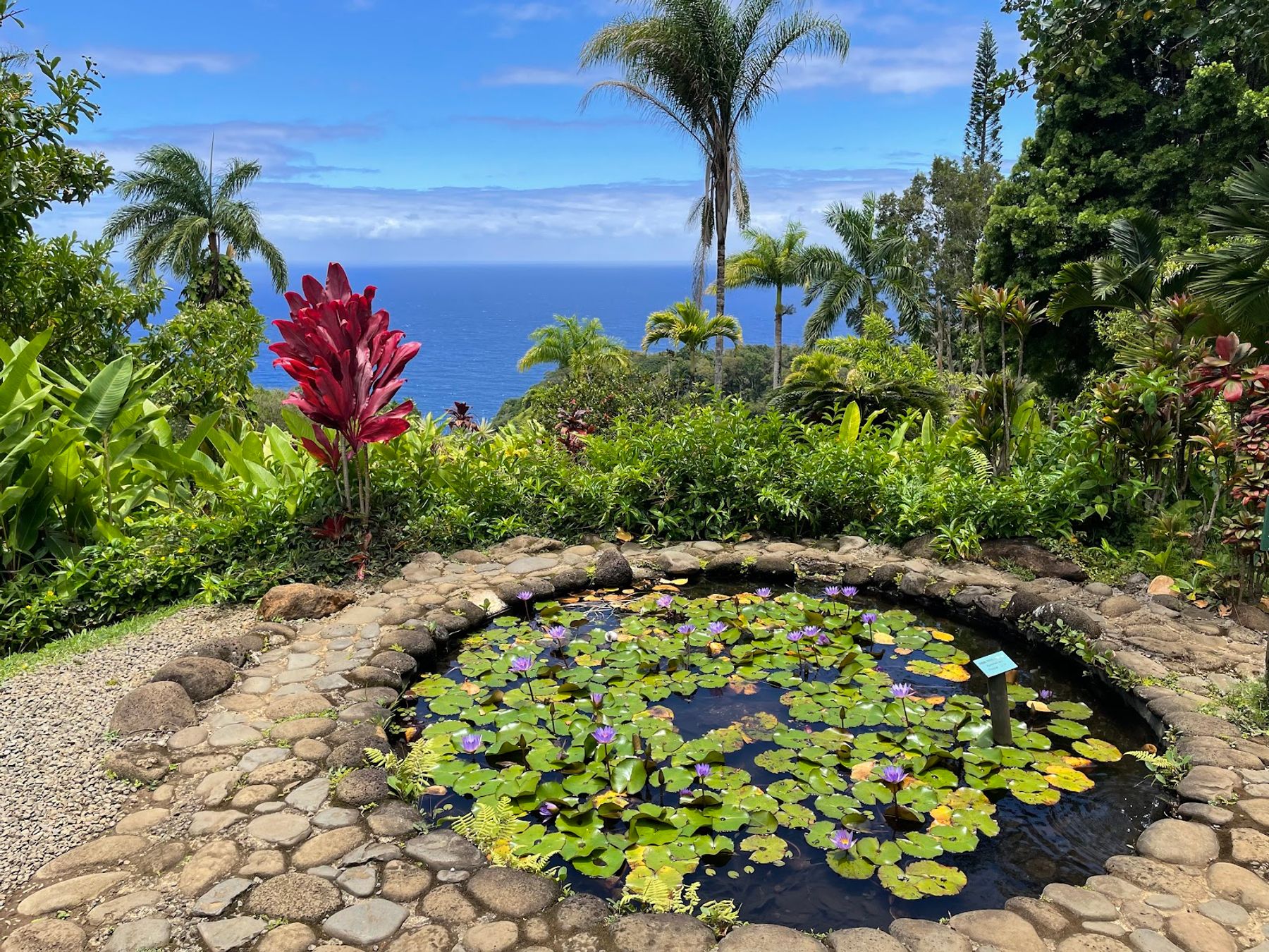 Photo 2 of Garden of Eden Arboretum in Keʻanae-Nāhiku, Maui