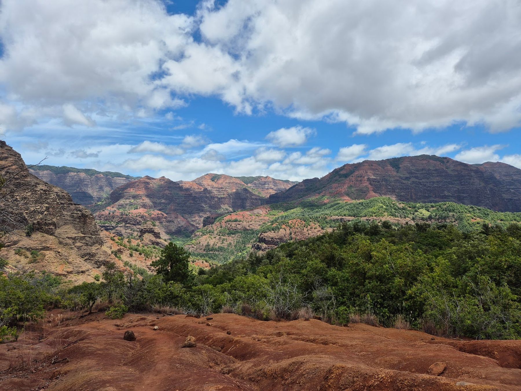 Iliau Trail in Waimea, Kaua‘i photo 3
