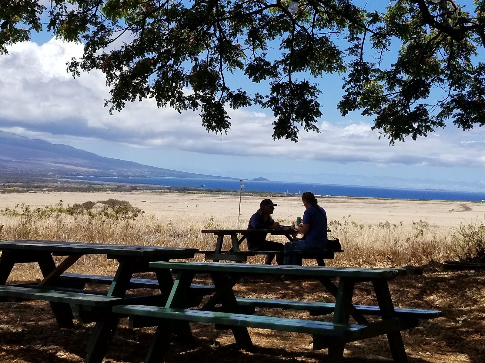Photo 7 of Waikapu On 30 in Wailuku, Maui