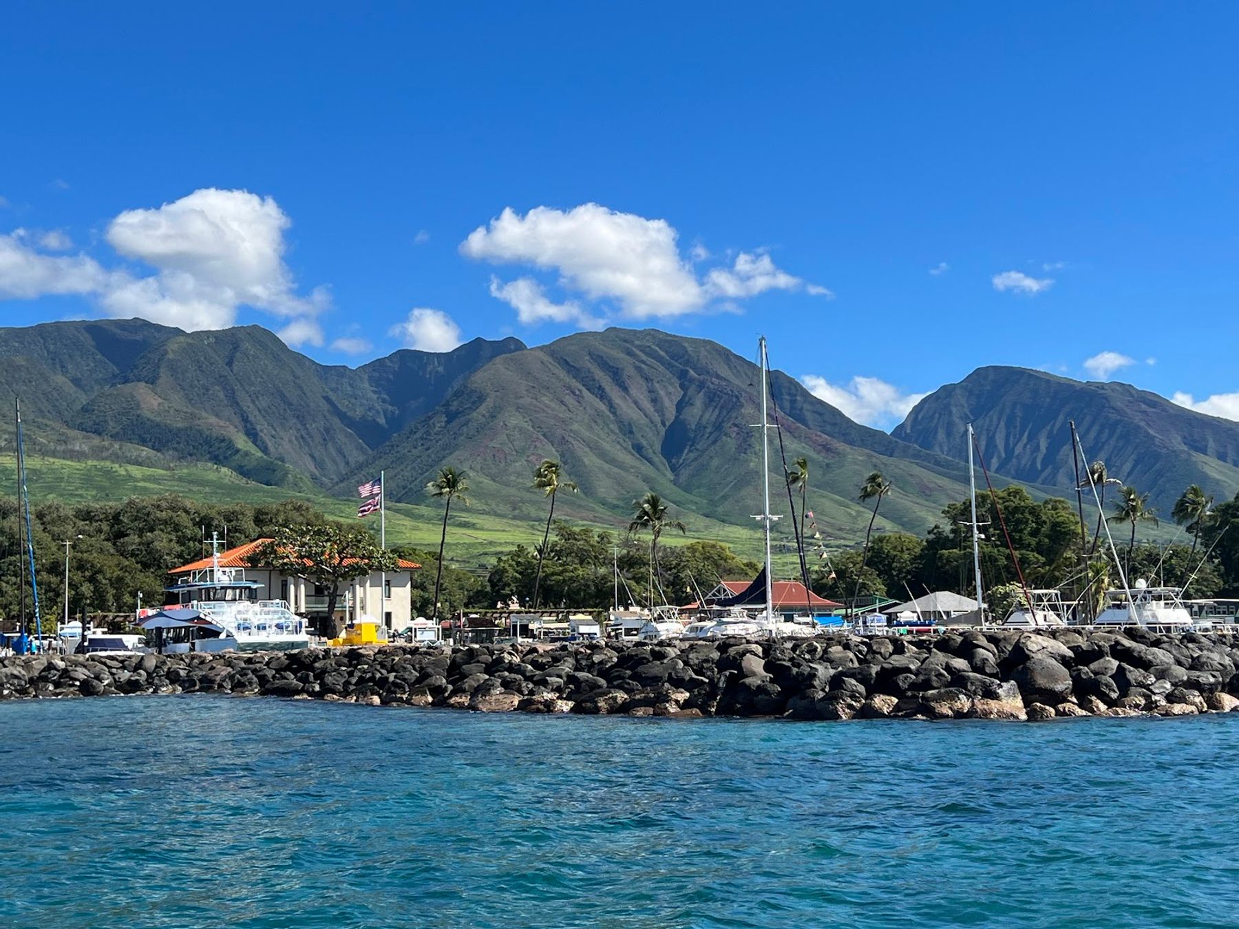 Photo 8 of Maui Adventure Cruises in Lāhainā, Maui