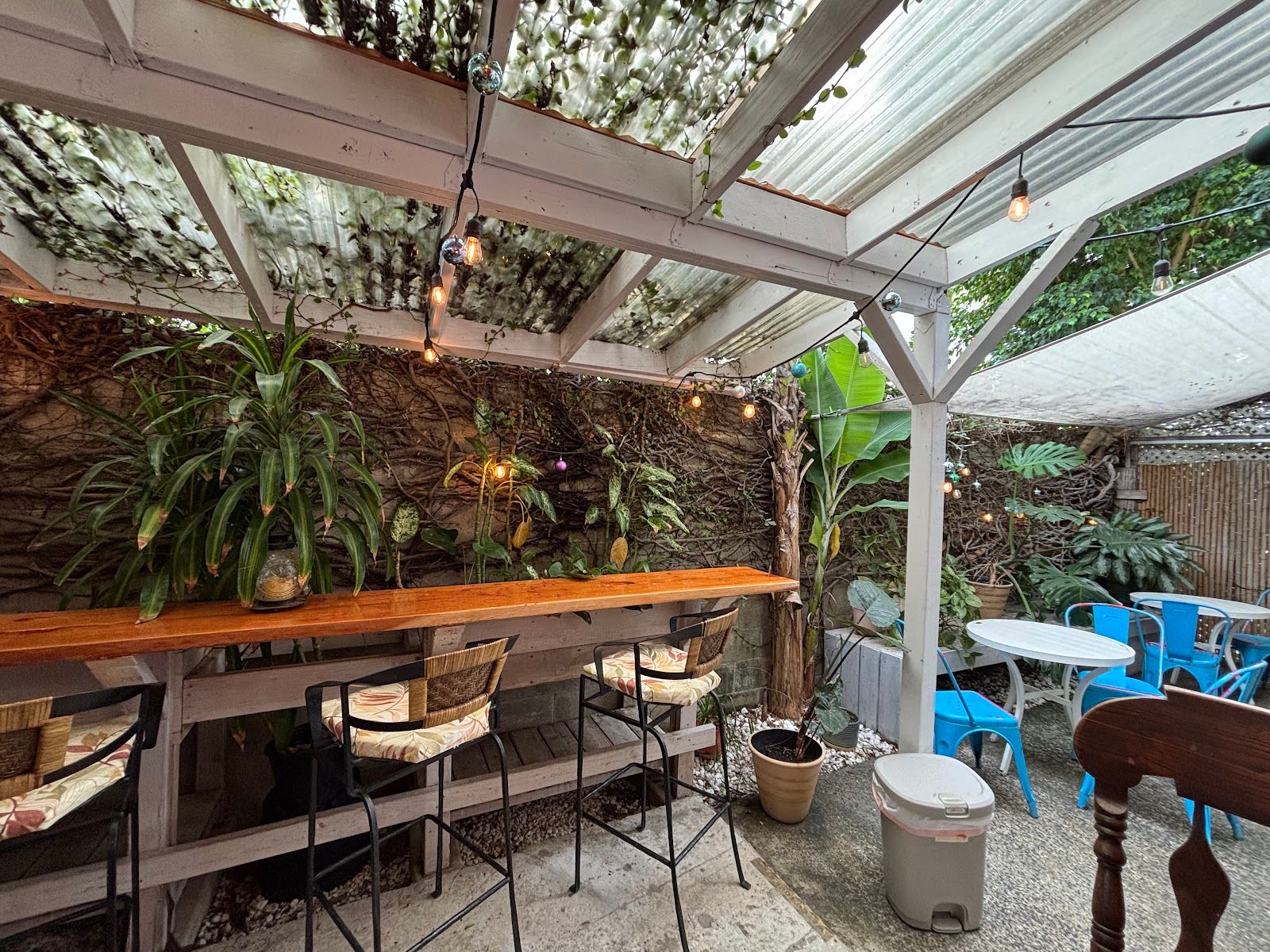 Photo 10 of Rise & Grind Coffee Bar in Kailua & Lanikai, Oahu