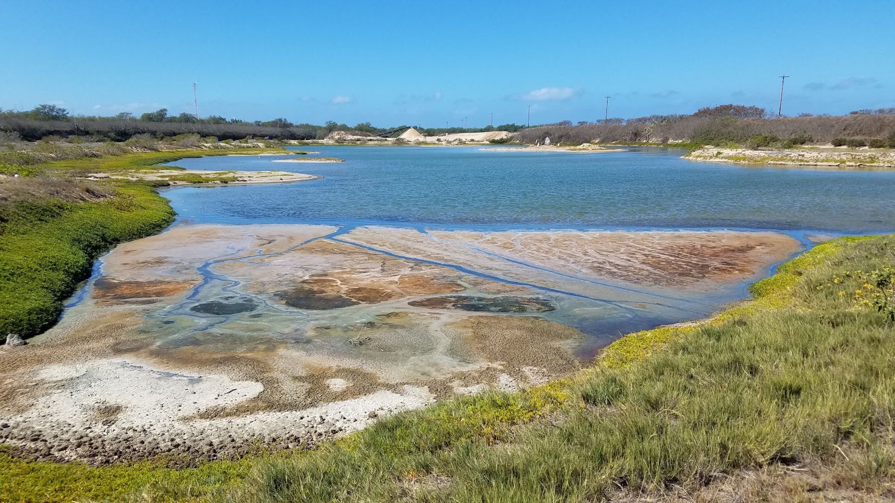 Kawaiʻele Waterbird Sanctuary in Kekaha, Kaua‘i photo 2