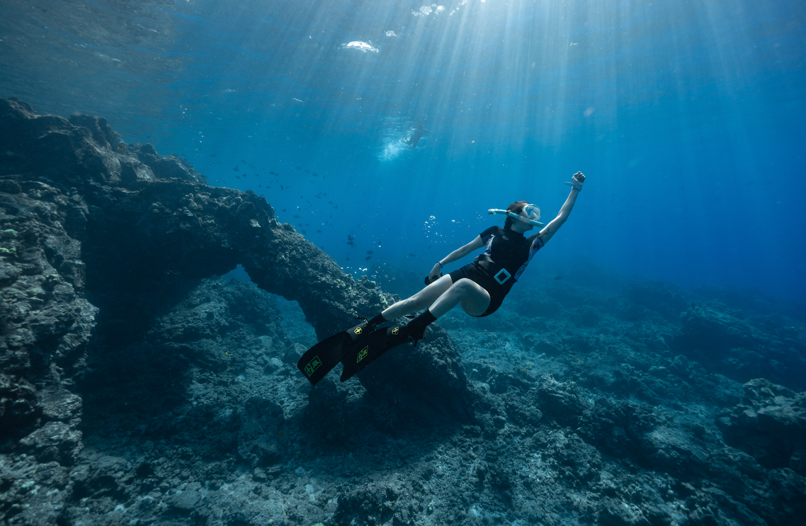 Photo 3 of Ocean Eco Tours in Kailua-Kona, Big Island