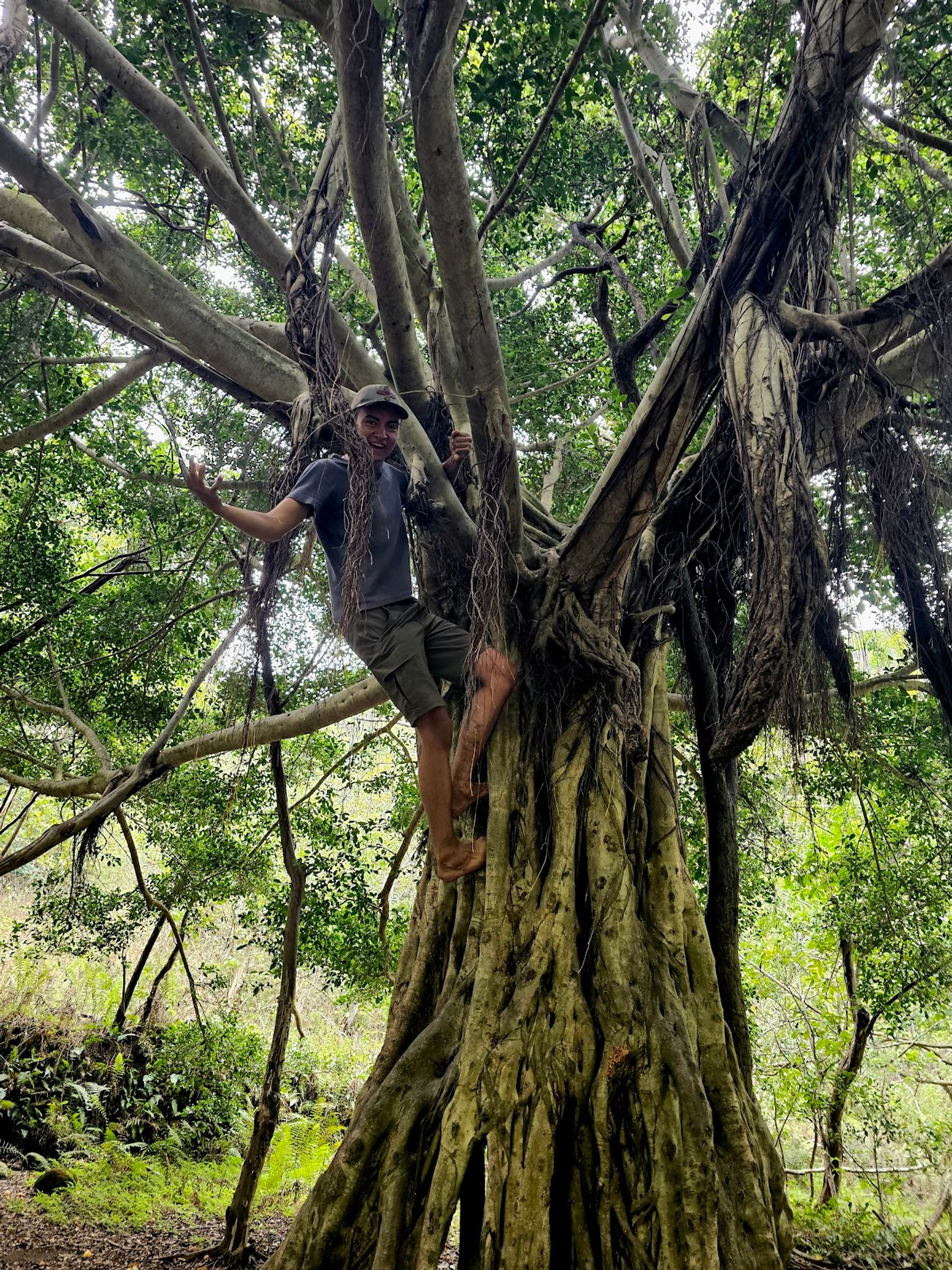 Photo 4 of Makamakaole Trail in Wailuku, Maui