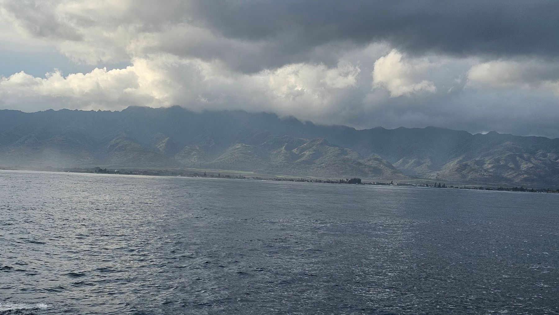 Photo 8 of One Ocean Diving in Haleʻiwa, Oahu