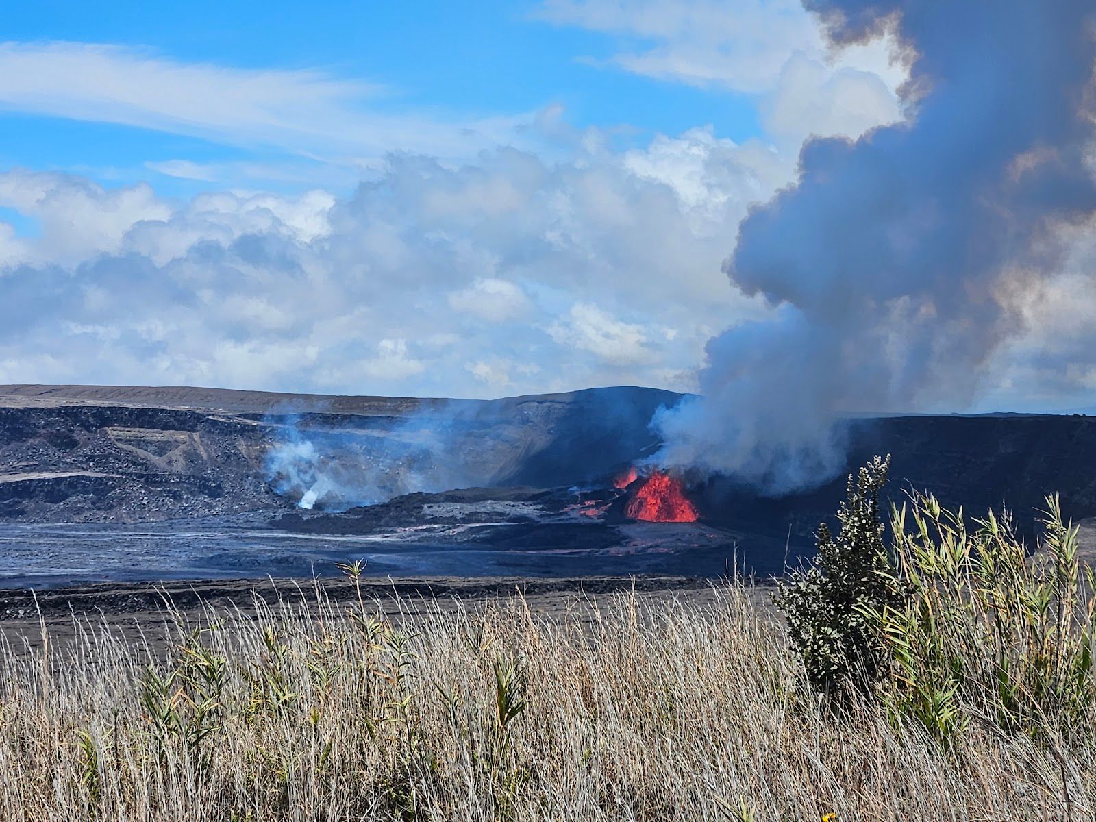 Photo 1 of Show You Hawaii in Kailua-Kona, Big Island