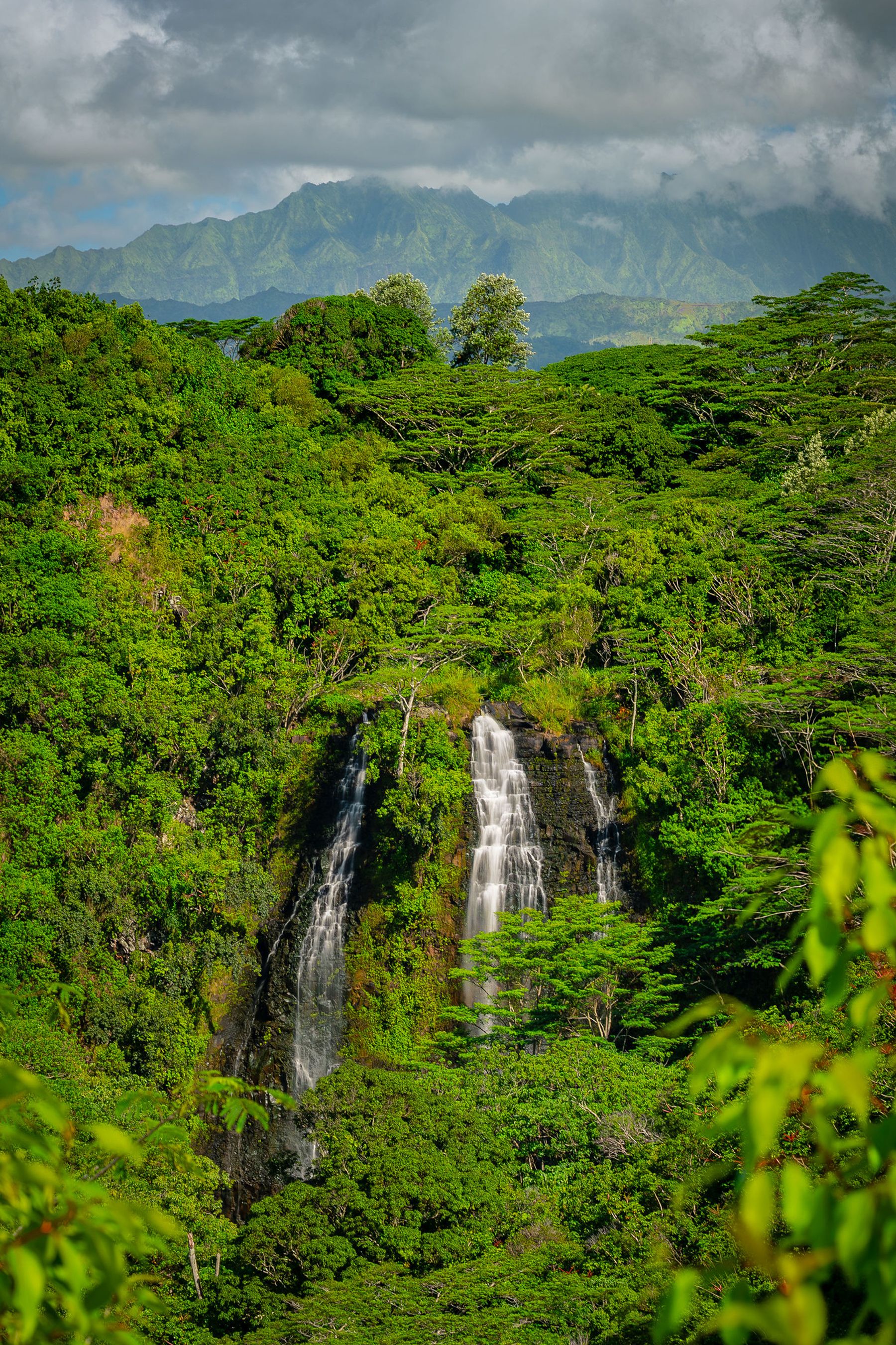 ʻŌpaekaʻa Falls cascading through lush green forest with cloudy mountain ridges in the background
