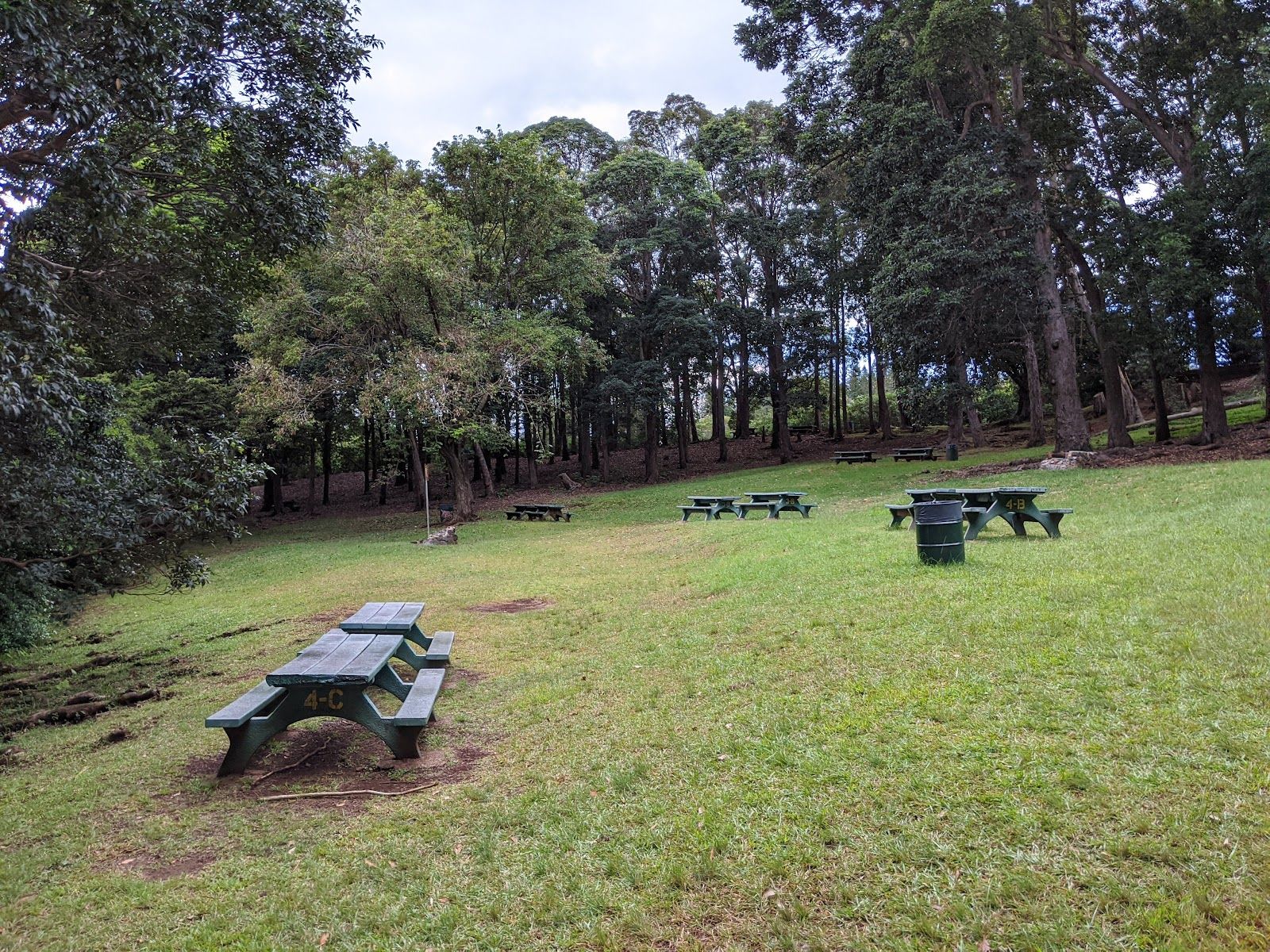 Photo 2 of Keaīwa Heiau State Recreation Area in Pearl Harbor & ʻAiea, Oahu