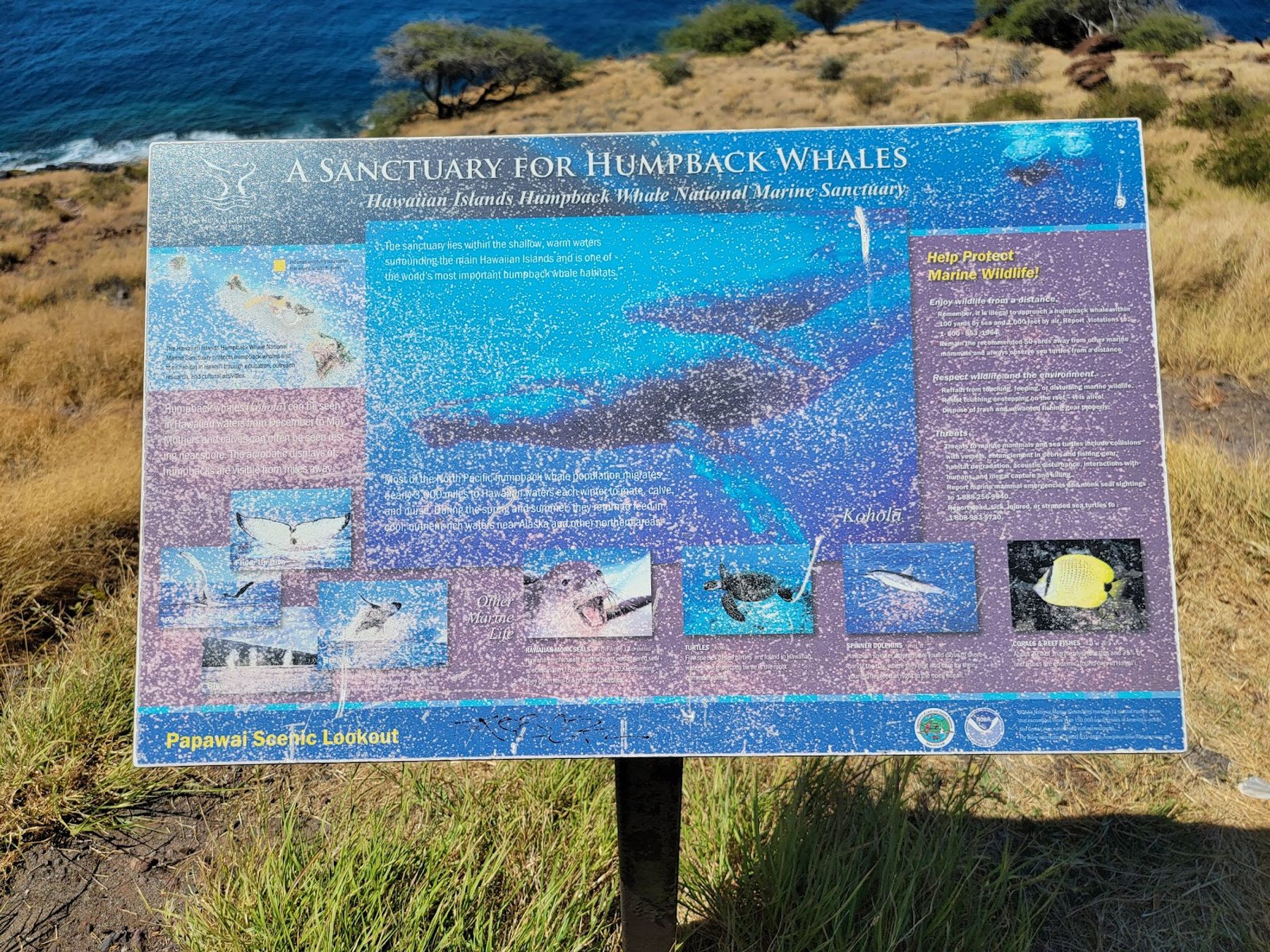 Photo 5 of Papawai Scenic Lookout in Māʻalaea, Maui