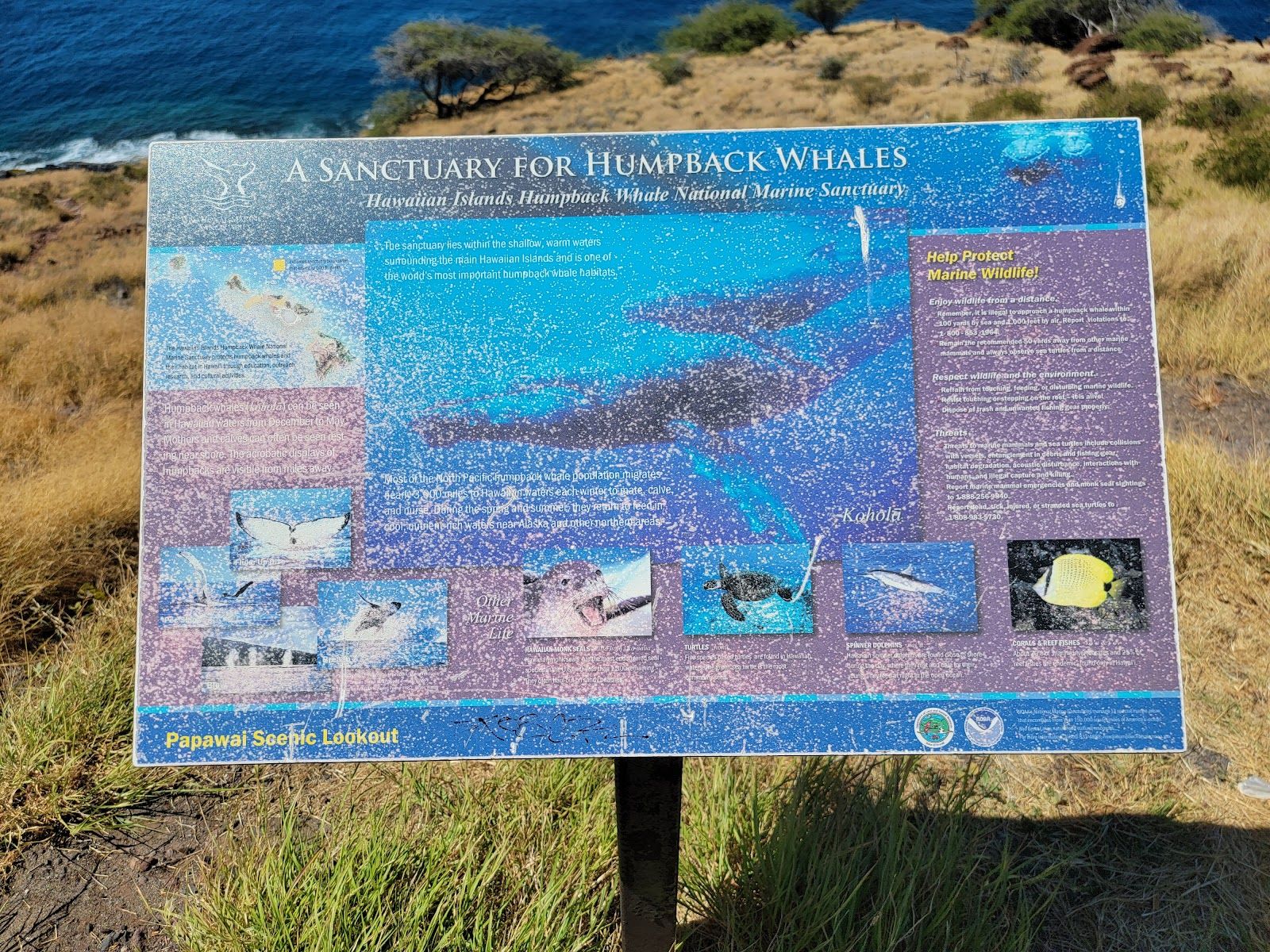 Photo 5 of Papawai Scenic Lookout in Māʻalaea, Maui