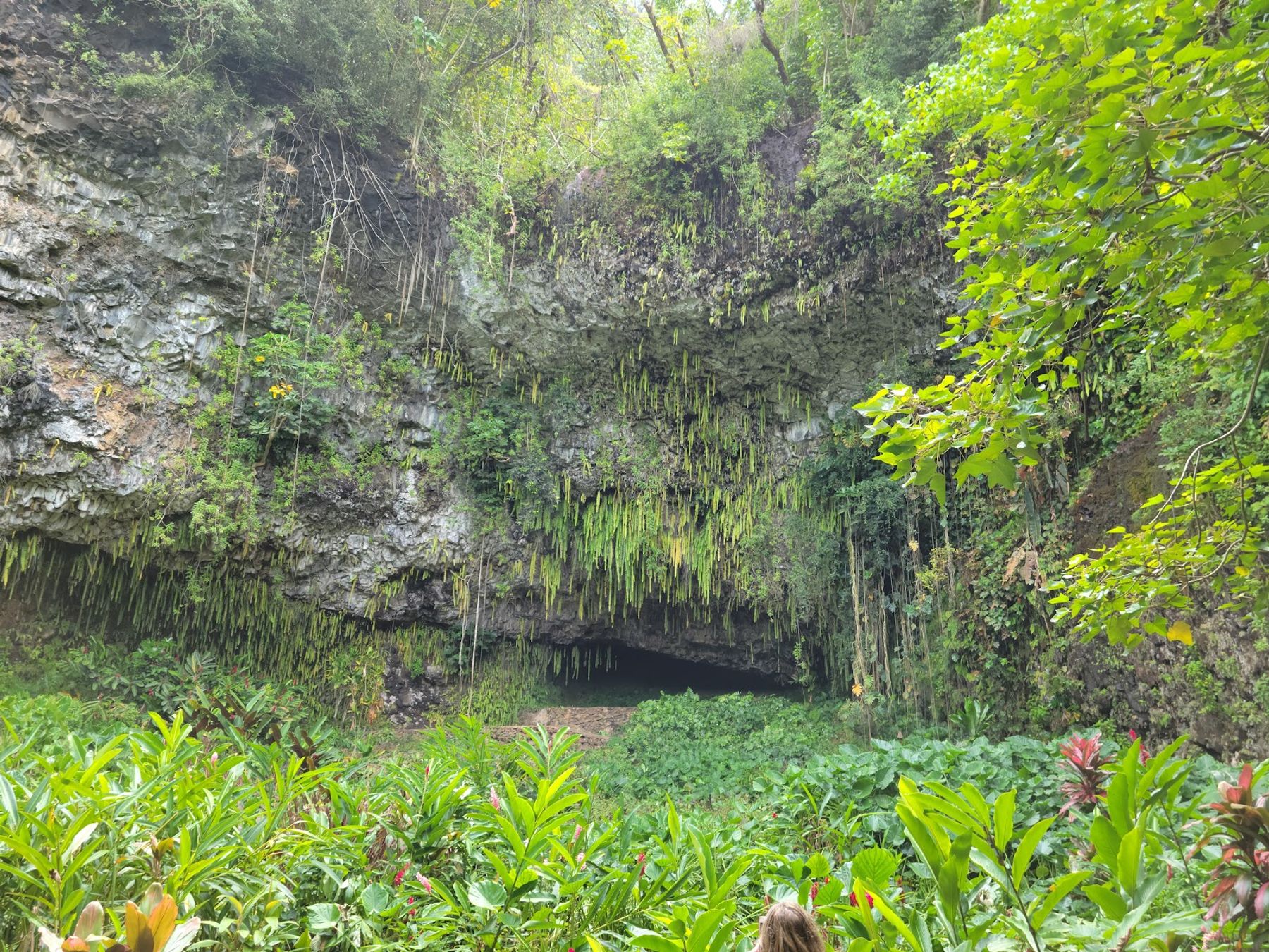 Wailua River State Park in Kapaʻa, Kaua‘i photo 3