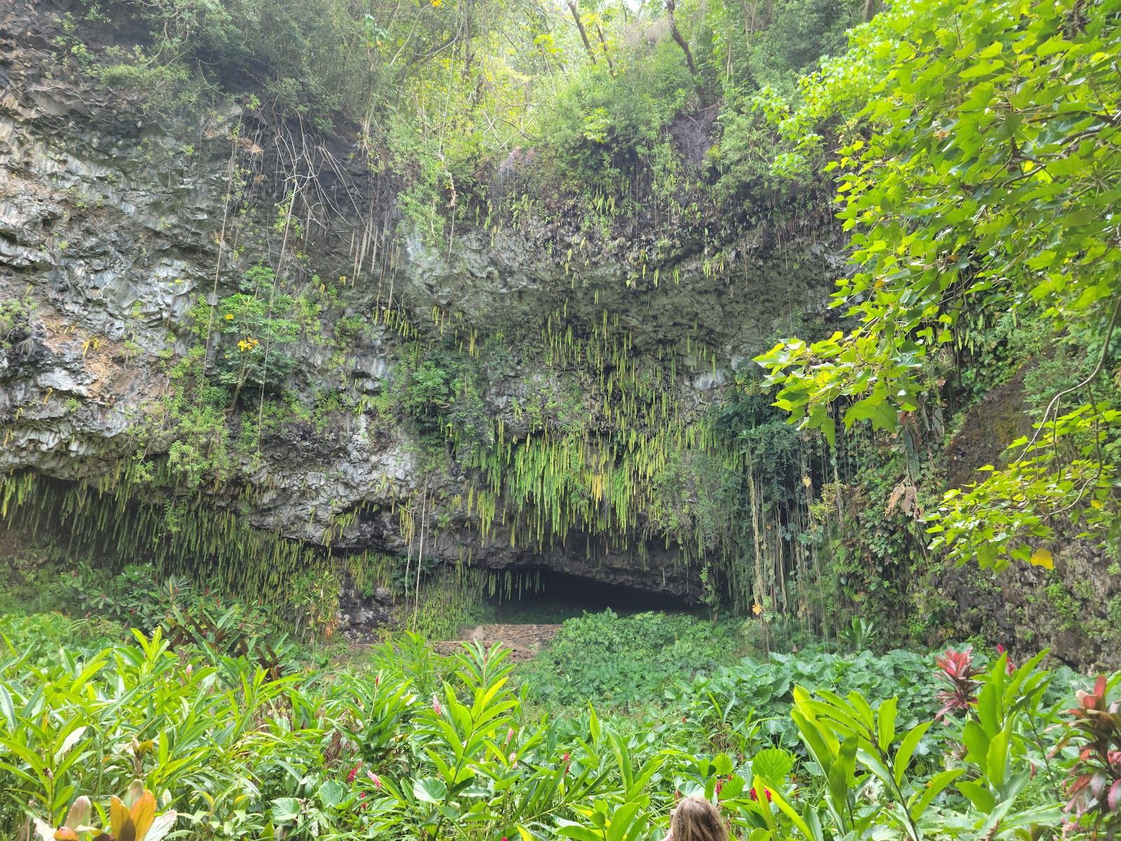 Wailua River State Park in Kapaʻa, Kaua‘i photo 3