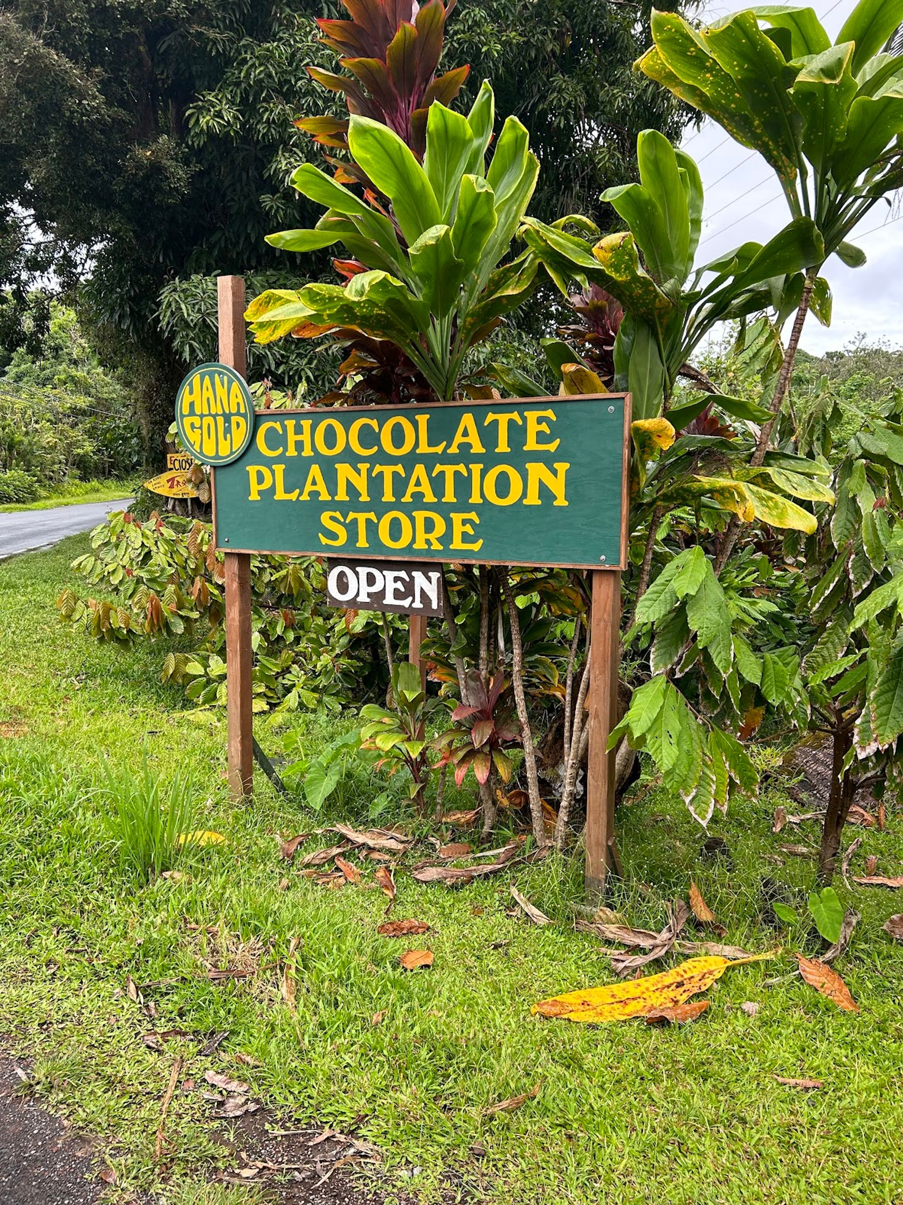 Photo 4 of Hana Gold Cacao Plantation in Hāna, Maui